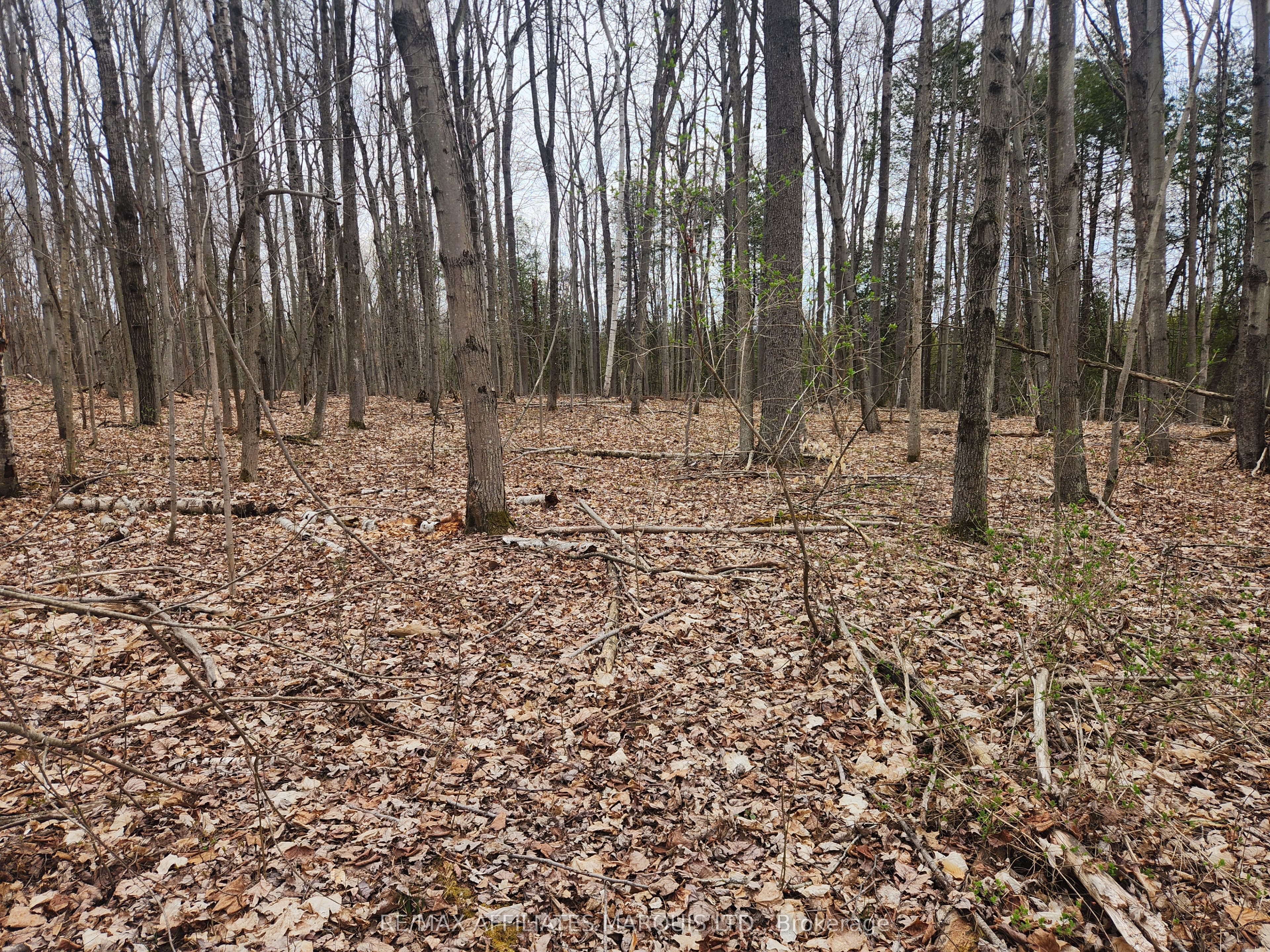 Lot Cedar Sands Rdwy Way Property Photo 18