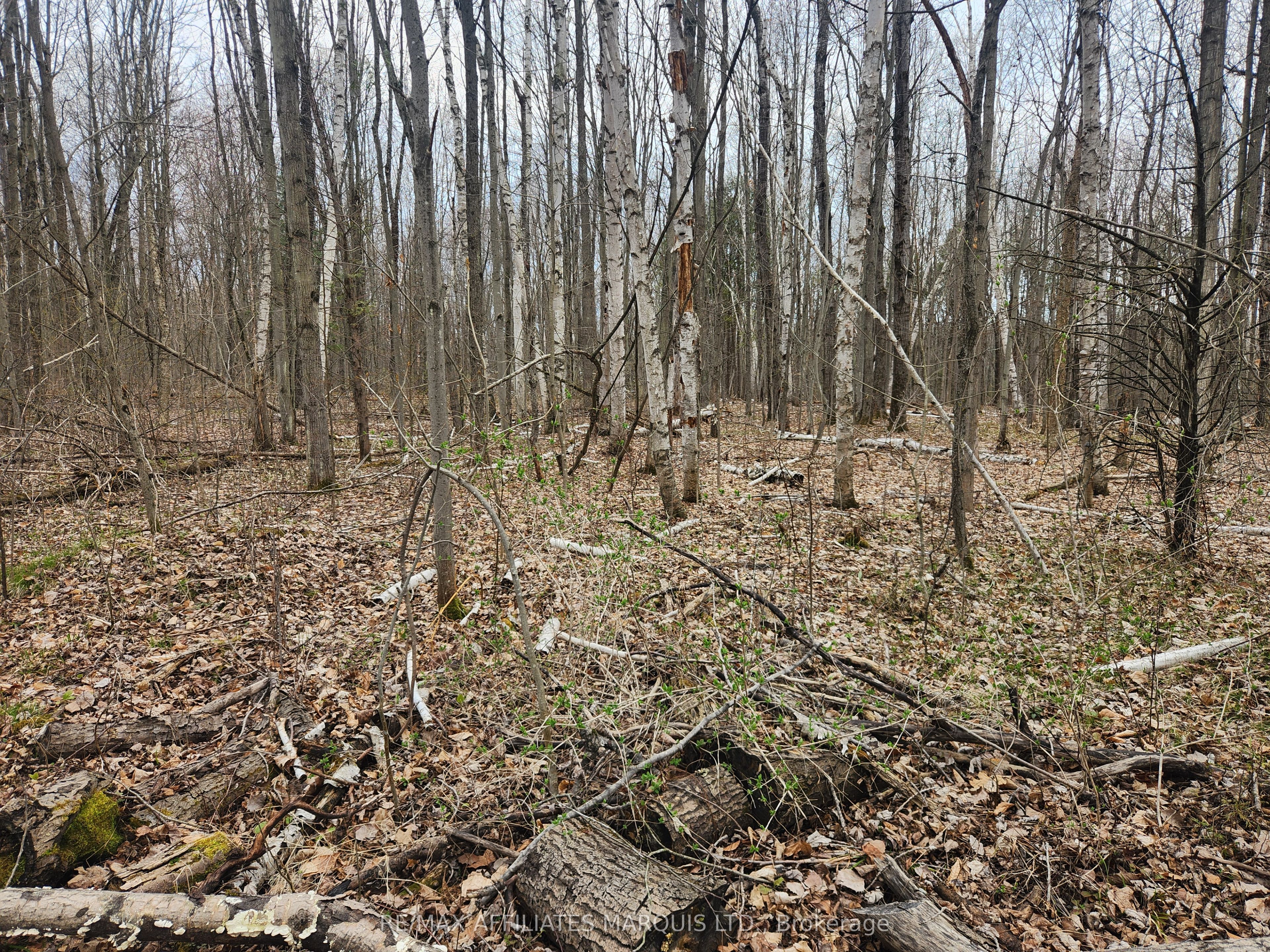 Lot Cedar Sands Rdwy Way Property Photo 19