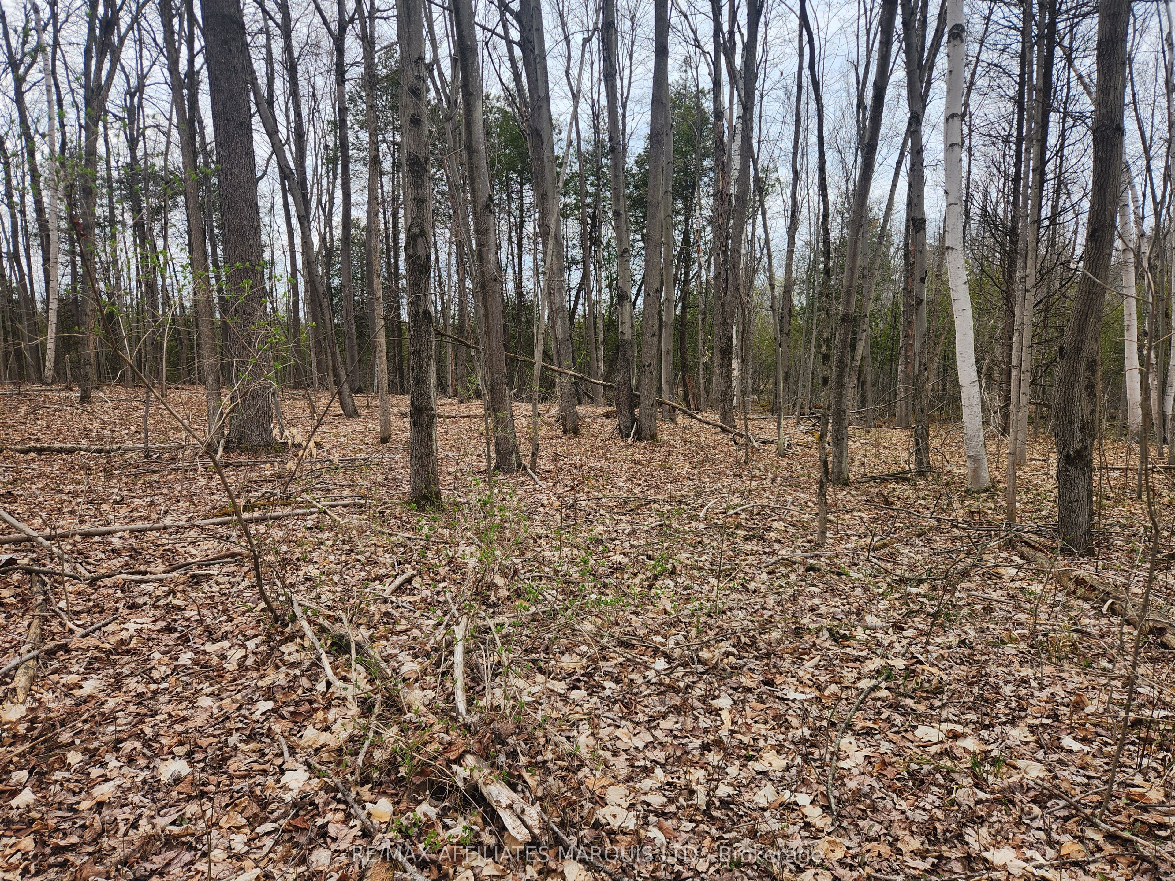 Lot Cedar Sands Rdwy Way Property Photo 20