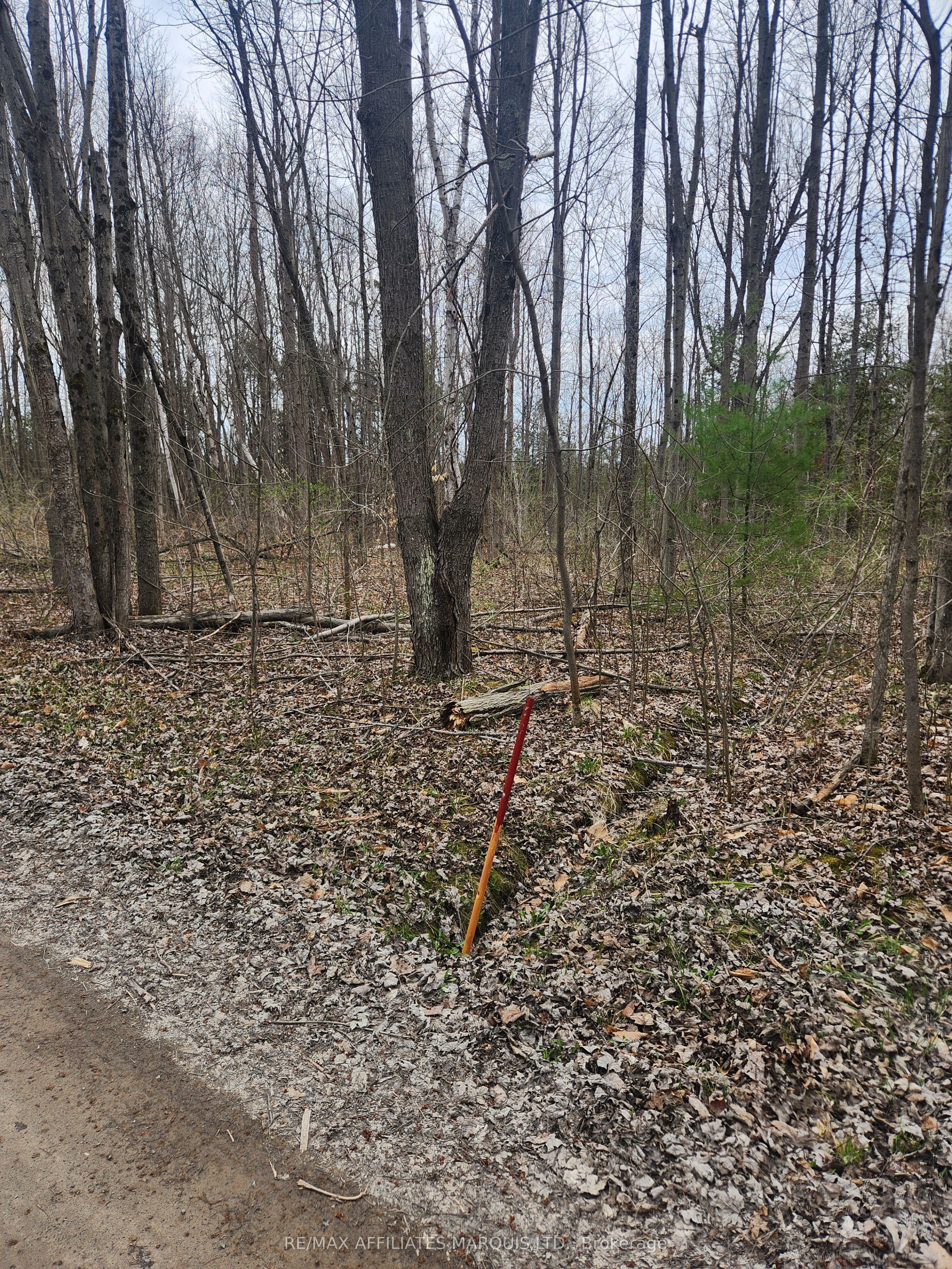Lot Cedar Sands Rdwy Way Property Photo 21