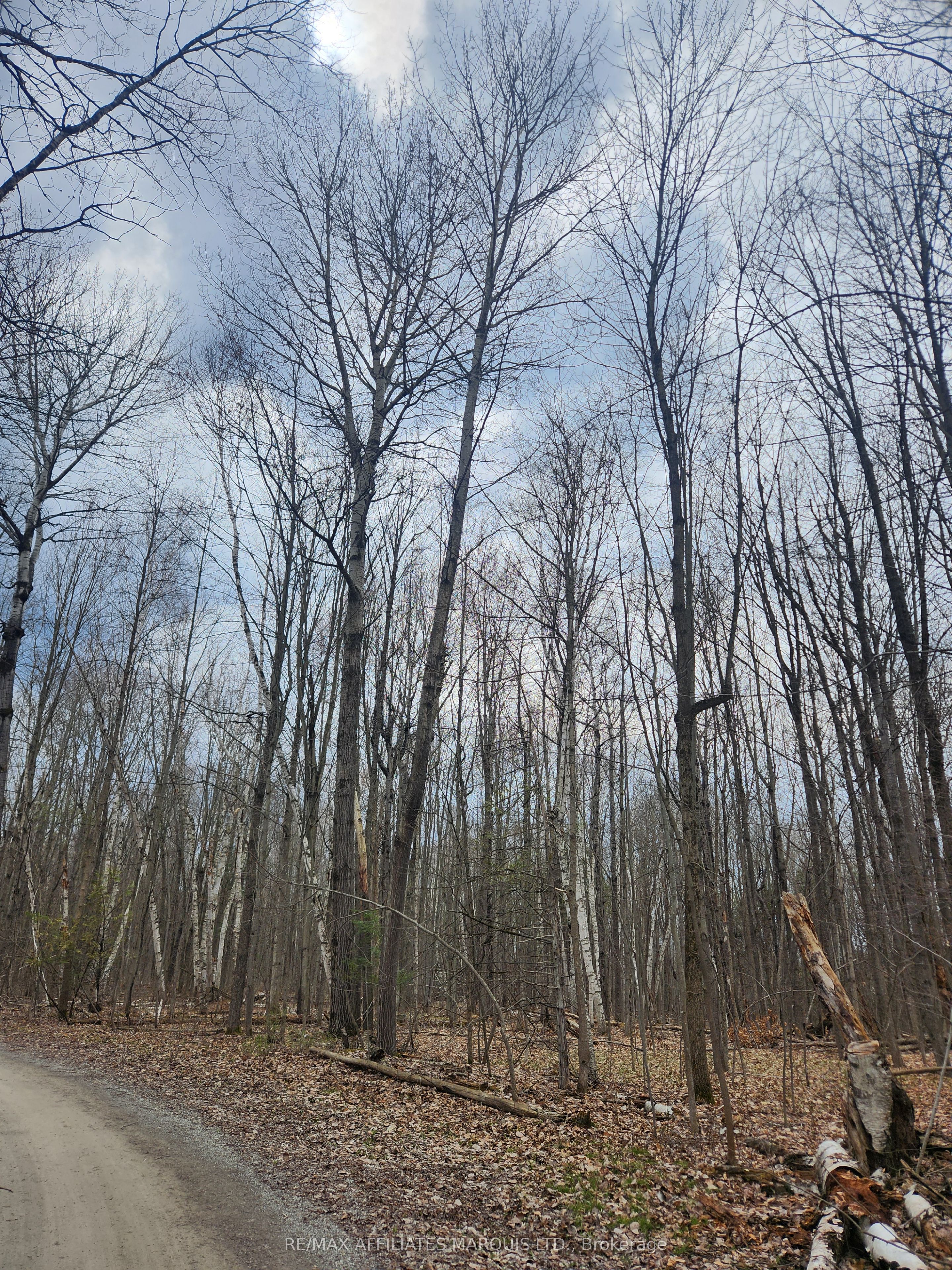 Lot Cedar Sands Rdwy Way Property Photo 23