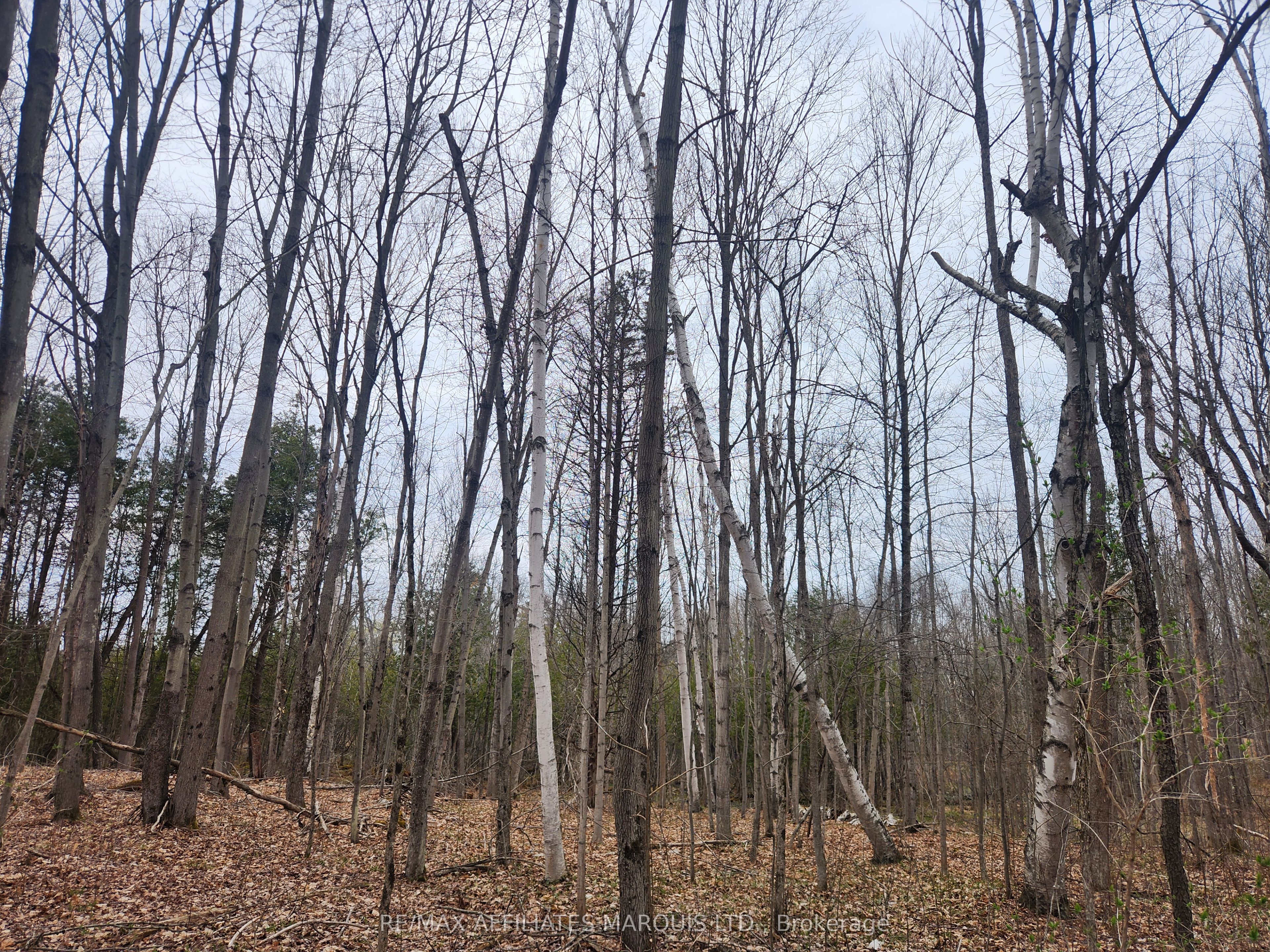 Lot Cedar Sands Rdwy Way Property Photo 24