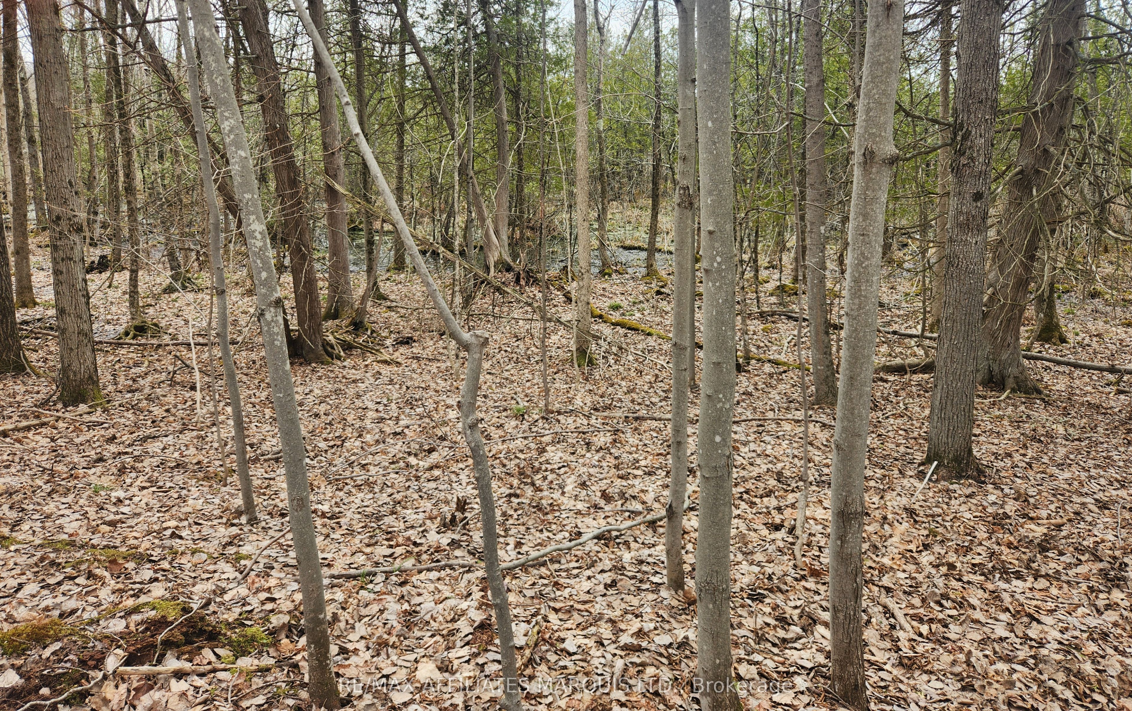 Lot Cedar Sands Rdwy Way Property Photo 26