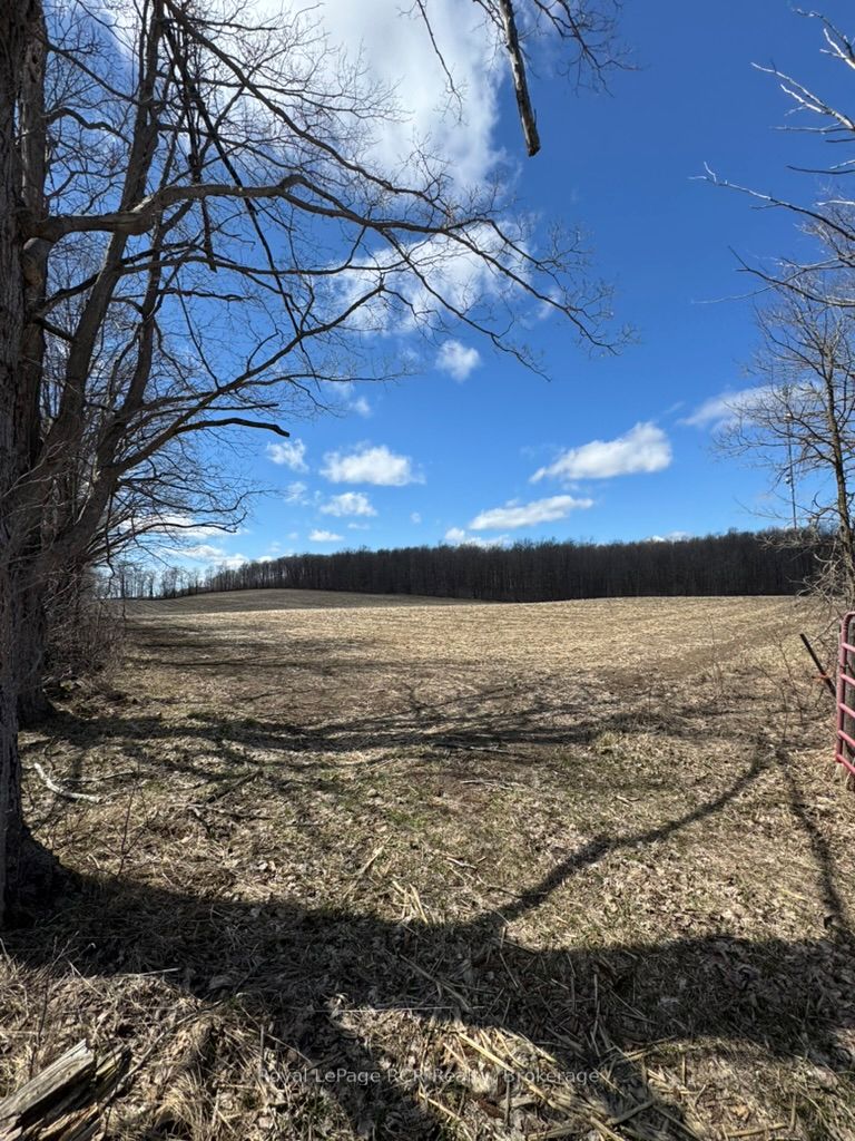 Pt Lot 60 Rp 17r3562 Part 3 Property Photo 12