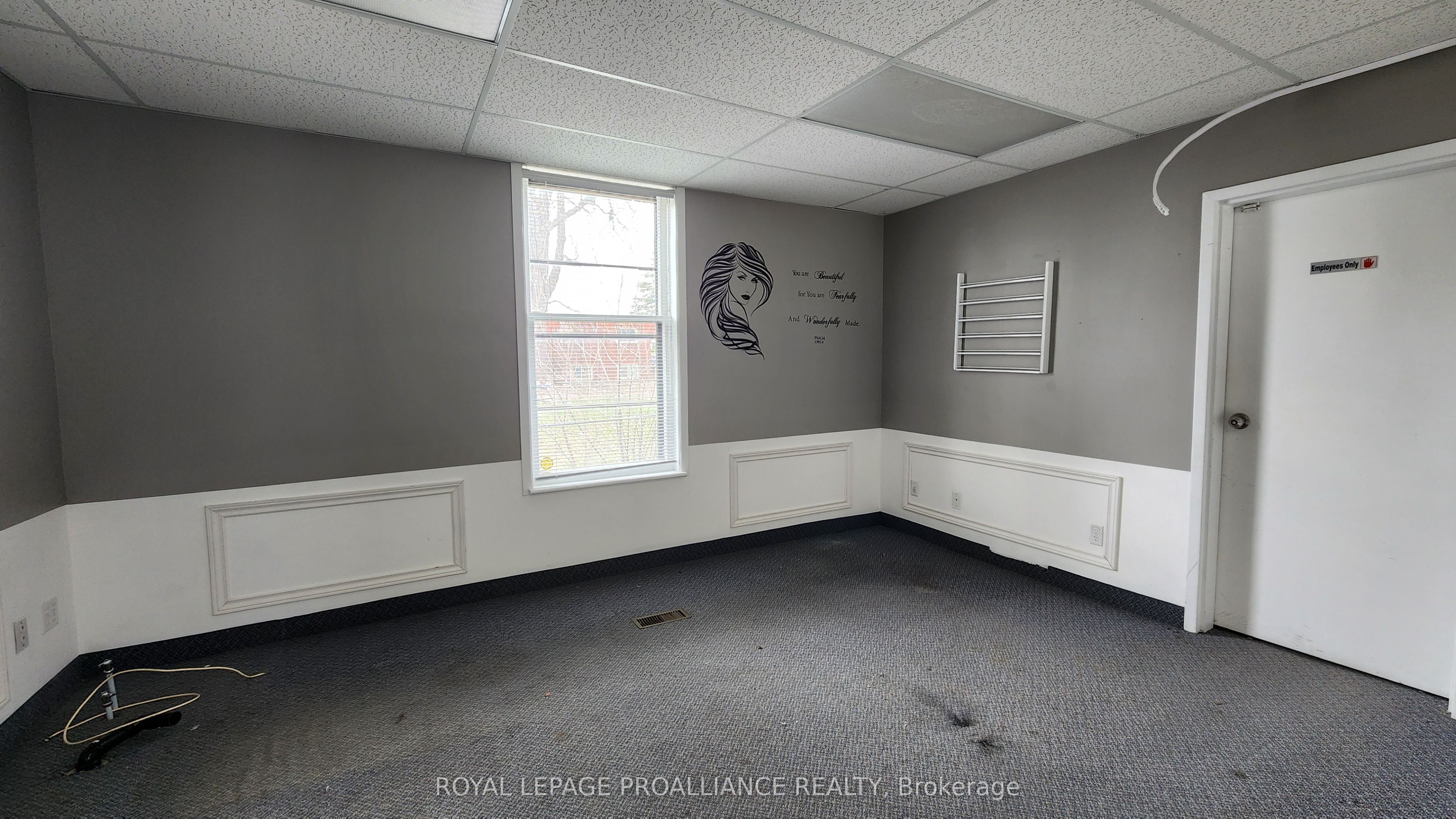 135 Dundas Street Property Photo 5