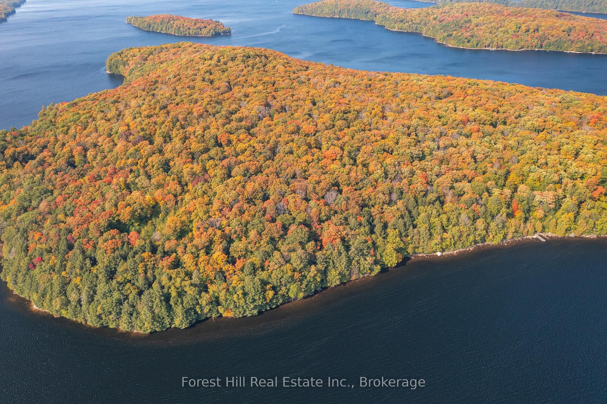 0 Bear Island Property Photo 3