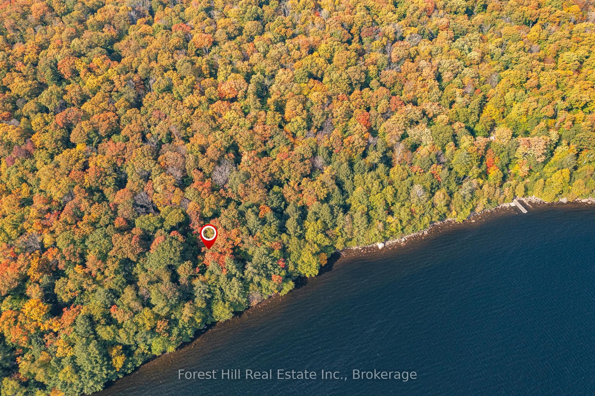 0 Bear Island Property Photo 5