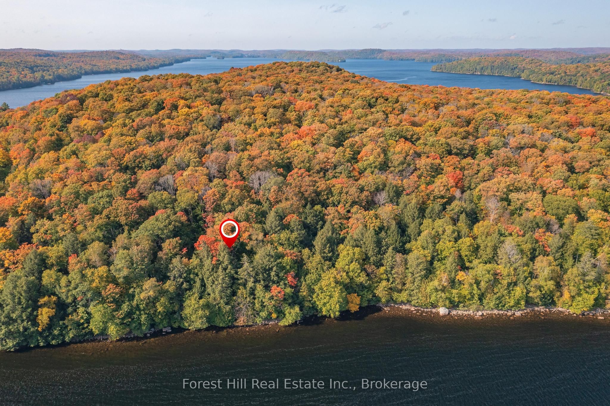 0 Bear Island Property Photo 6