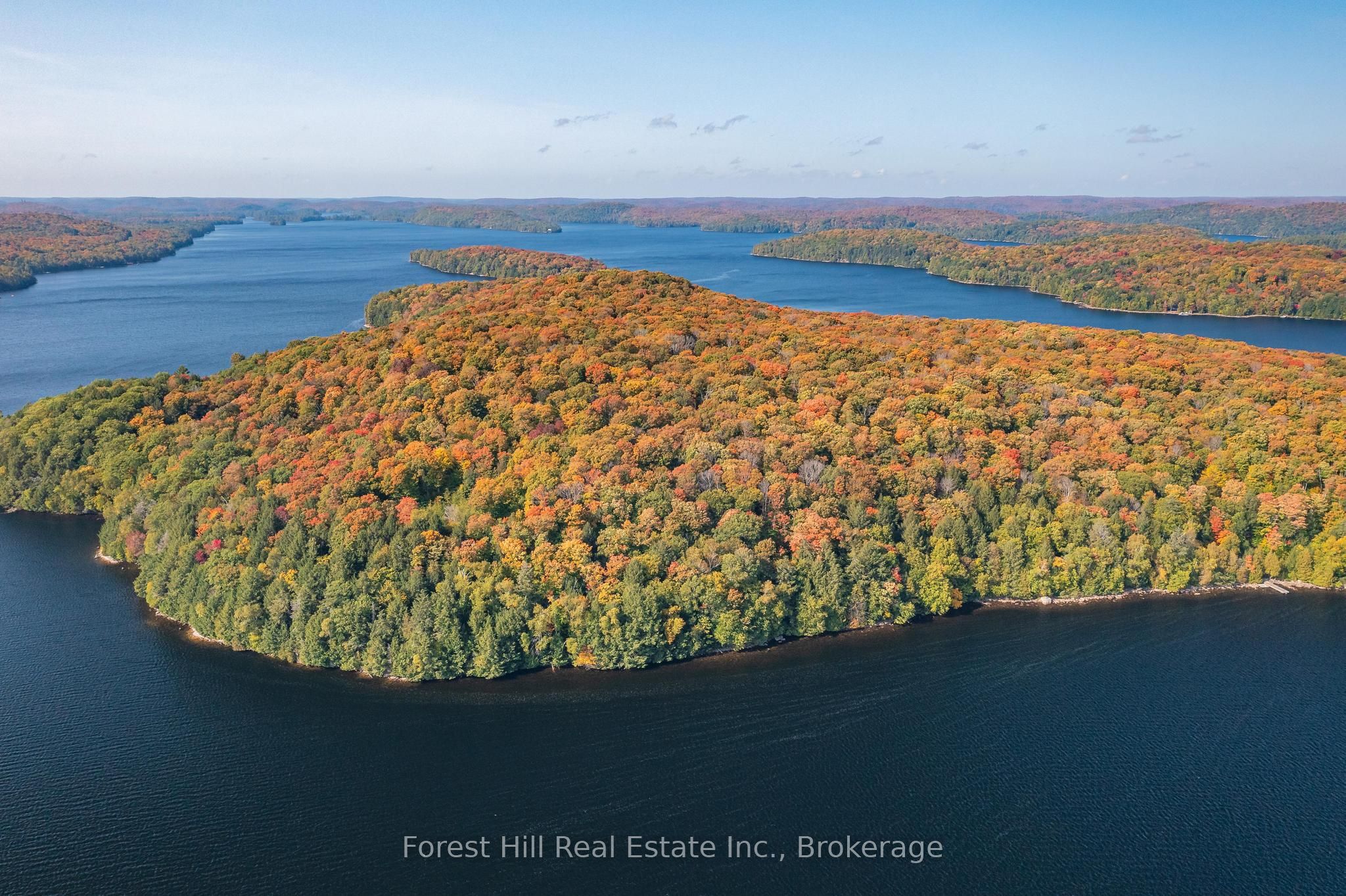 0 Bear Island Property Photo 8