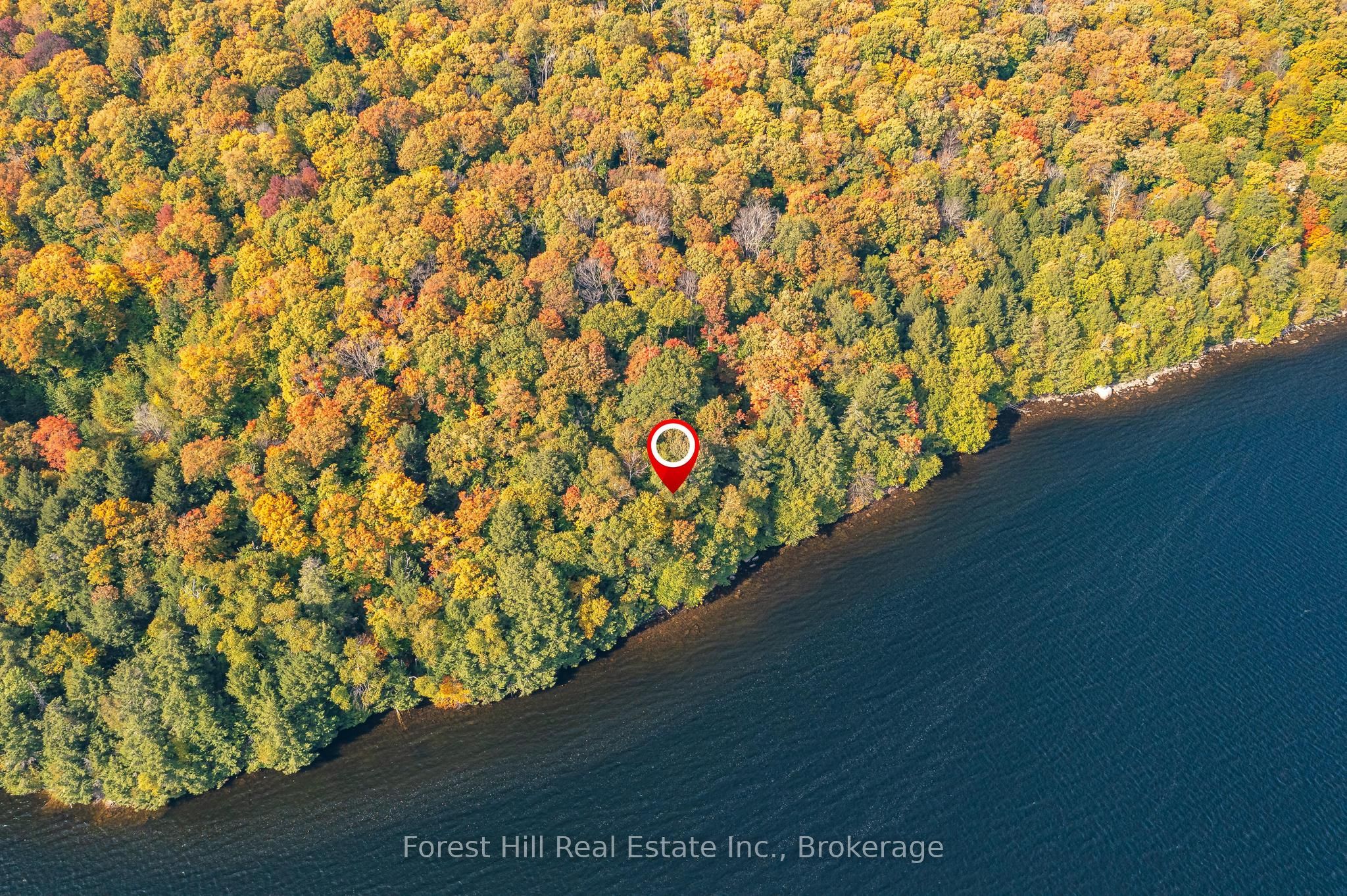 0 Bear Island Property Photo 10