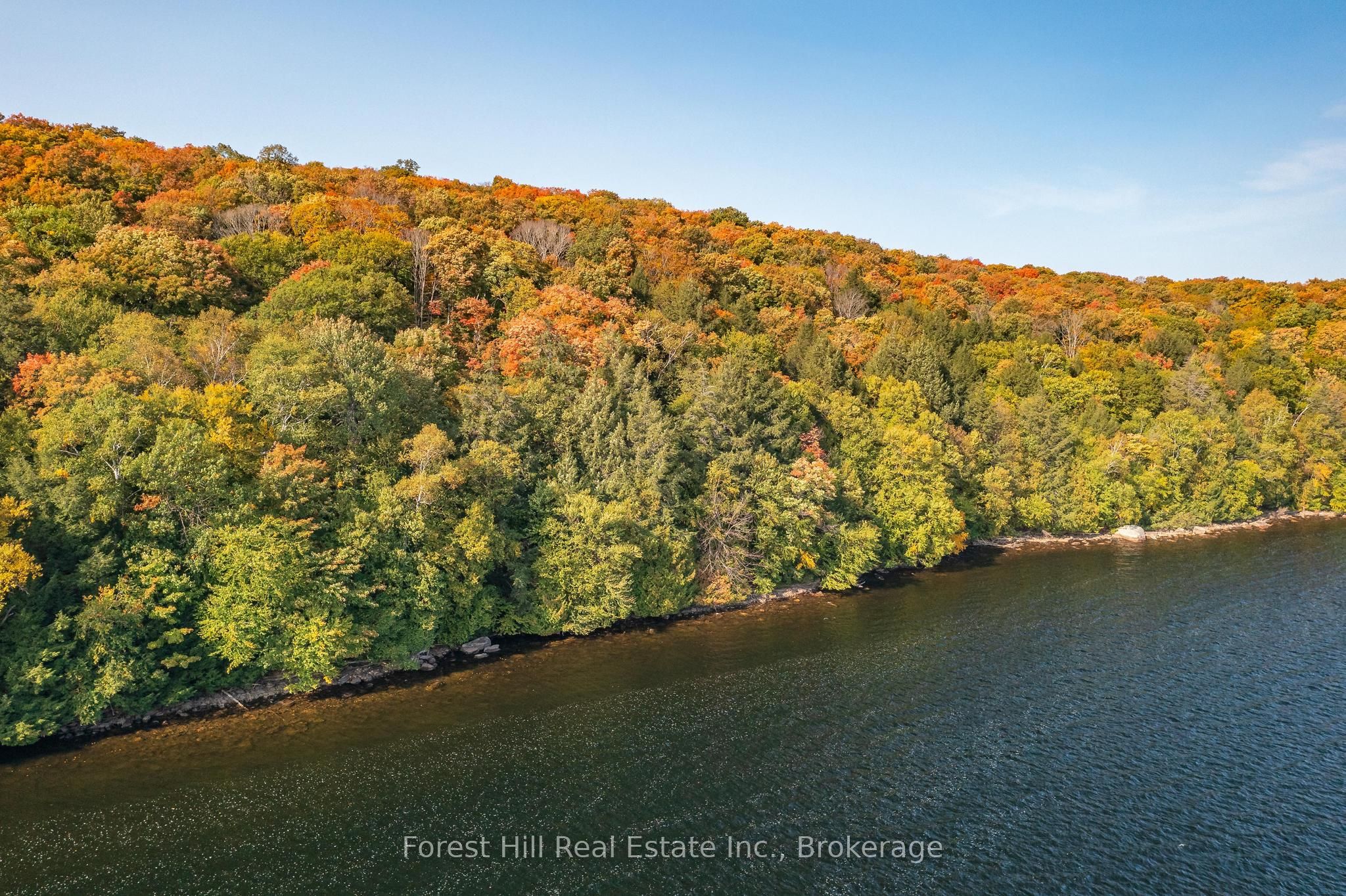 0 Bear Island Property Photo 12