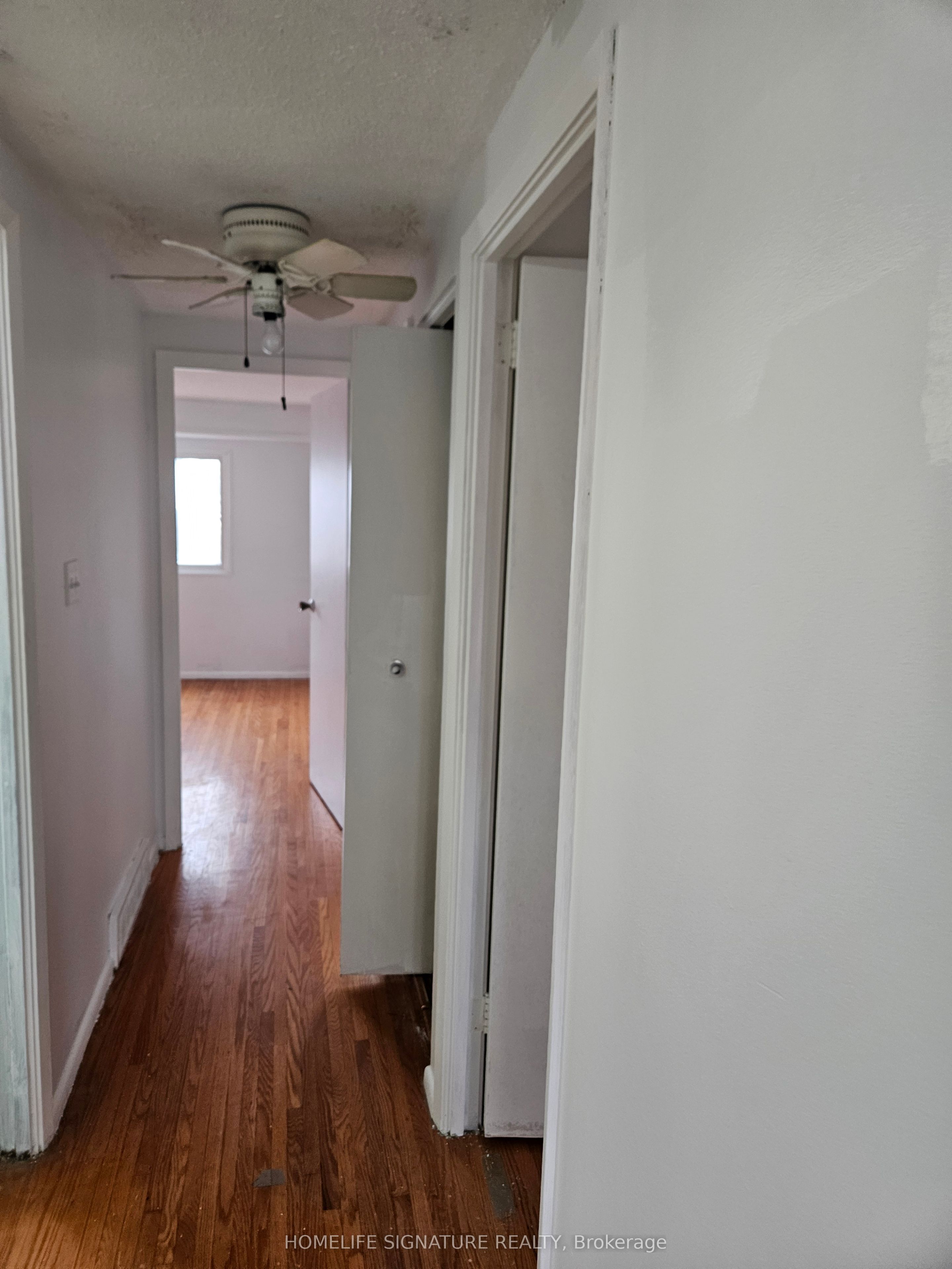 89 Mount Albion Road Property Photo 11