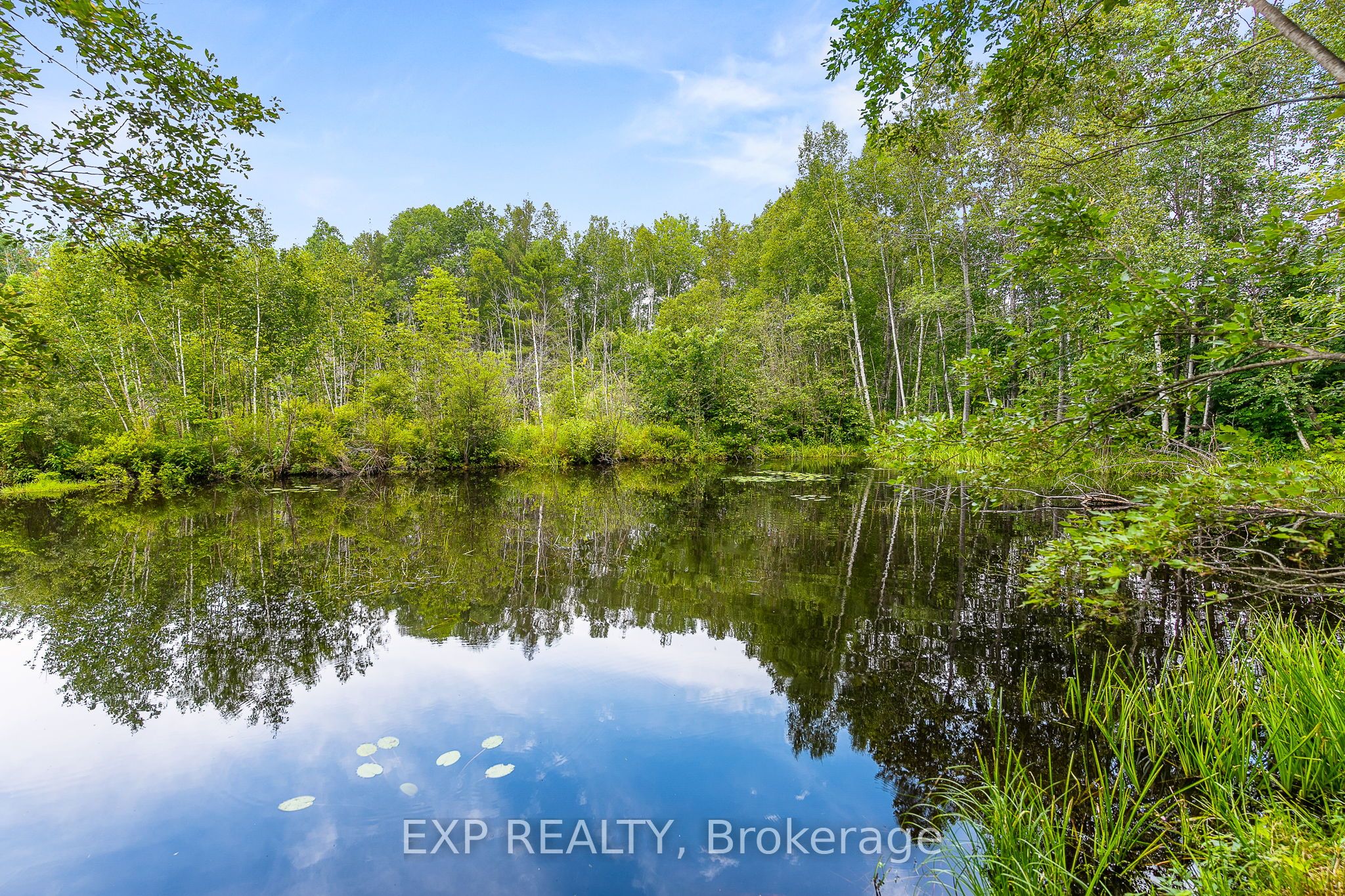 1037 Kernohan Farm Trail Property Photo 38