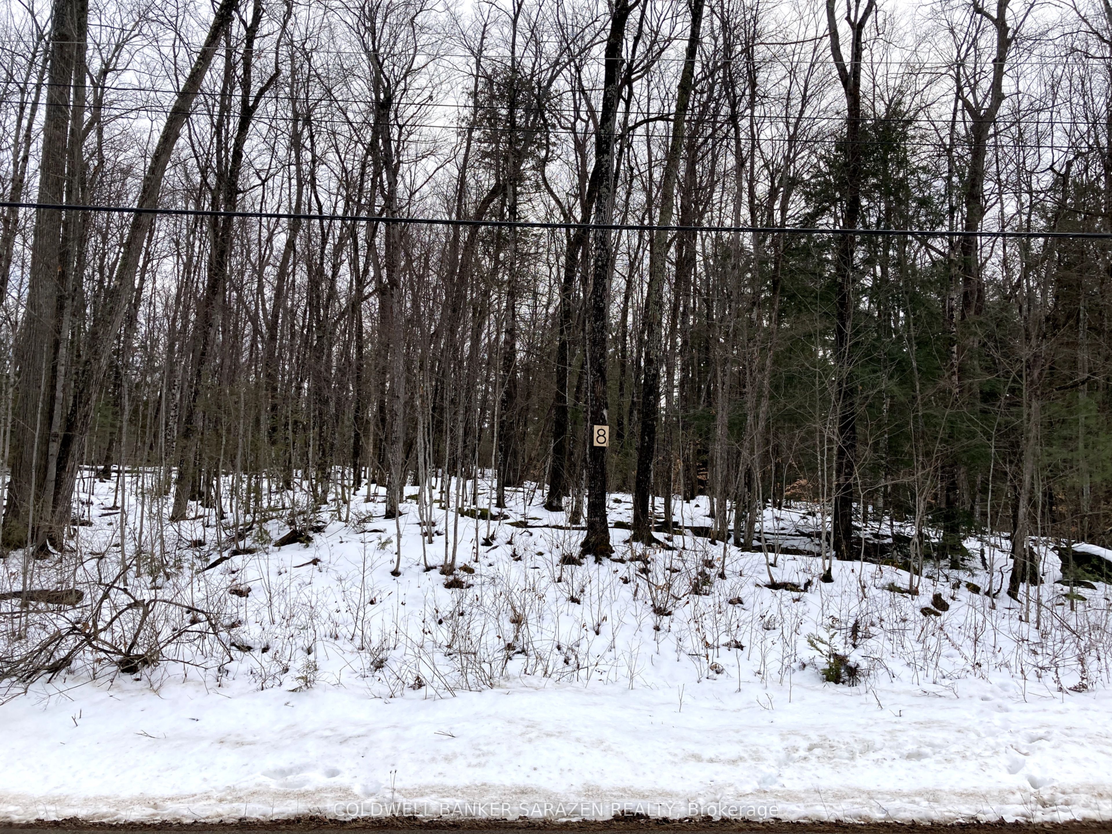 Lot 8 Deerfield Drive Property Photo 3