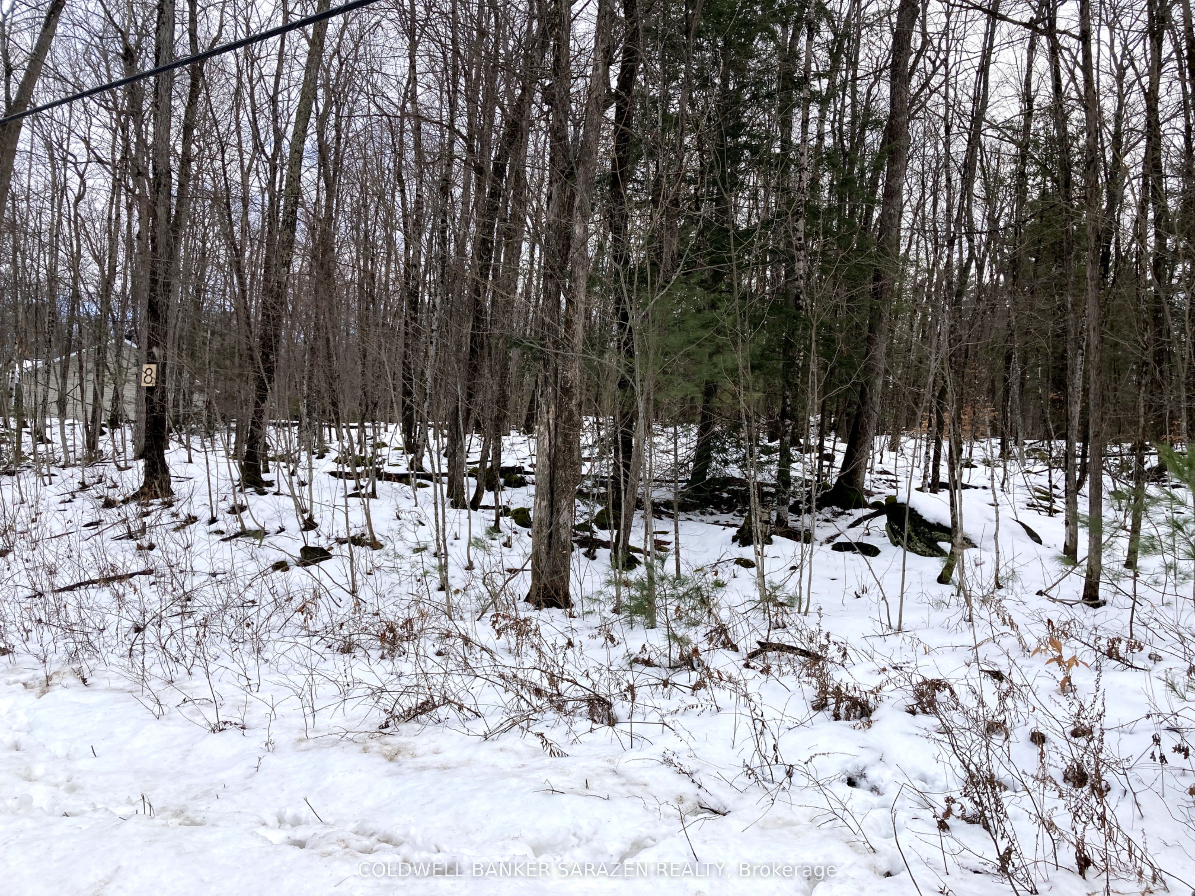 Lot 8 Deerfield Drive Property Photo 4