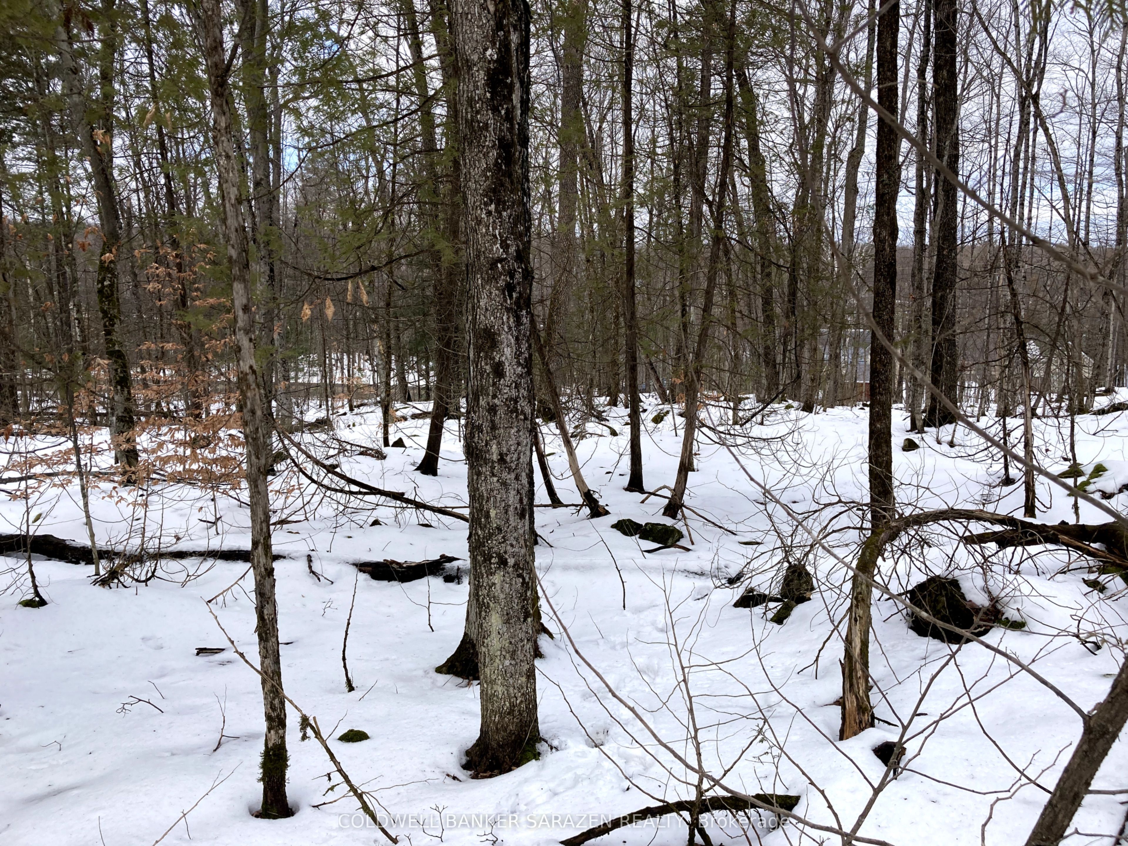Lot 8 Deerfield Drive Property Photo 5