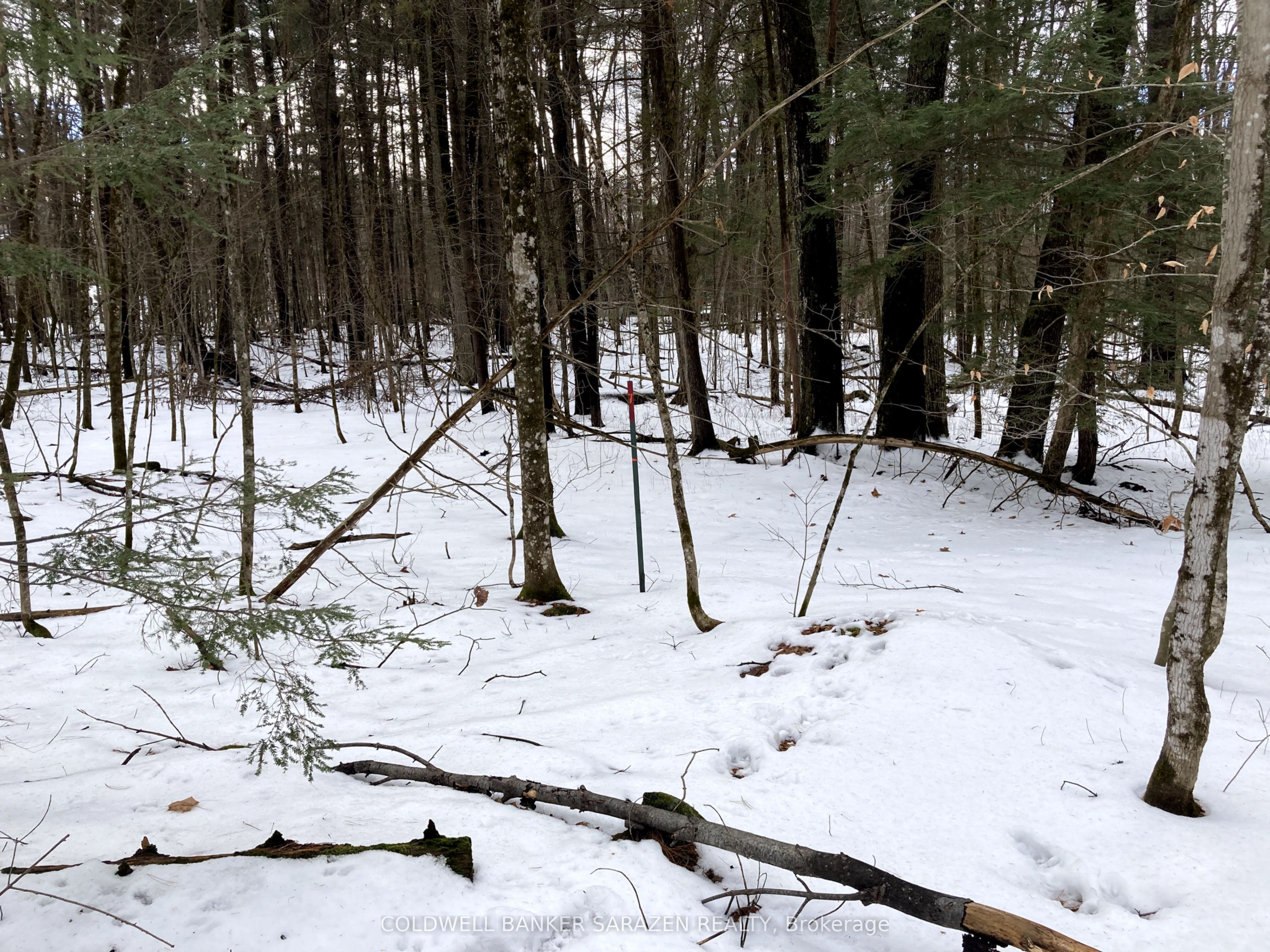Lot 8 Deerfield Drive Property Photo 7