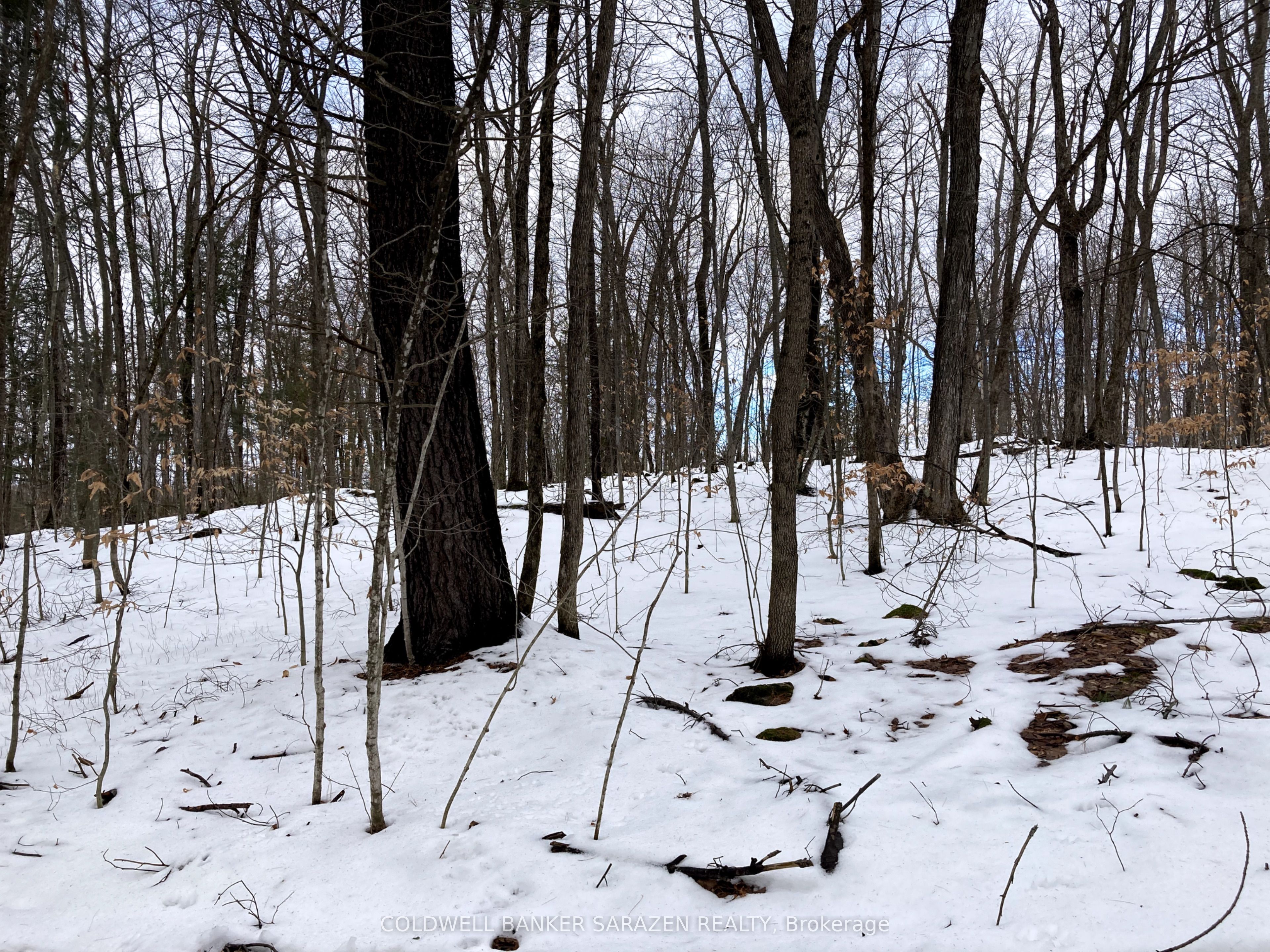 Lot 8 Deerfield Drive Property Photo 8