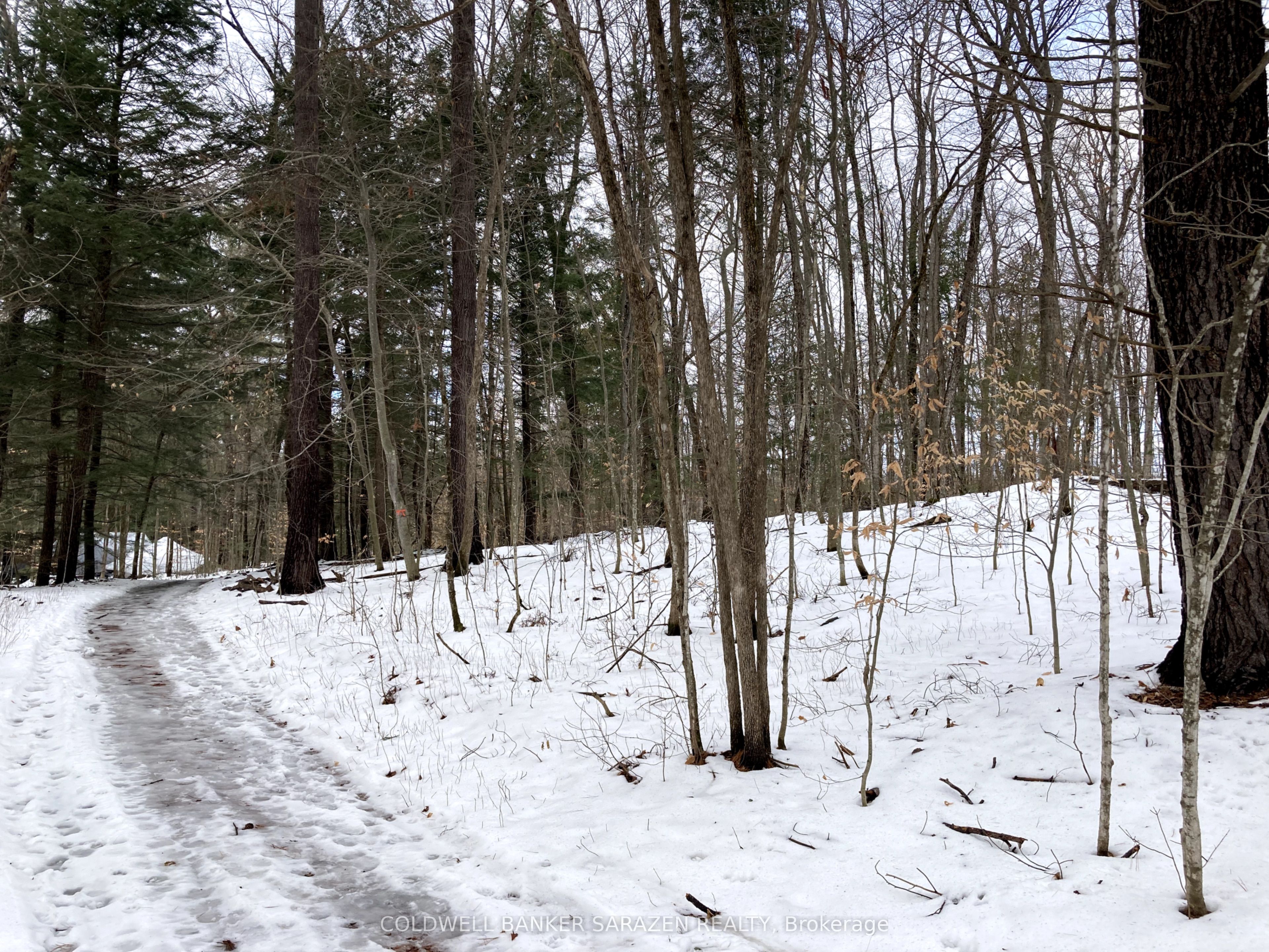 Lot 8 Deerfield Drive Property Photo 9