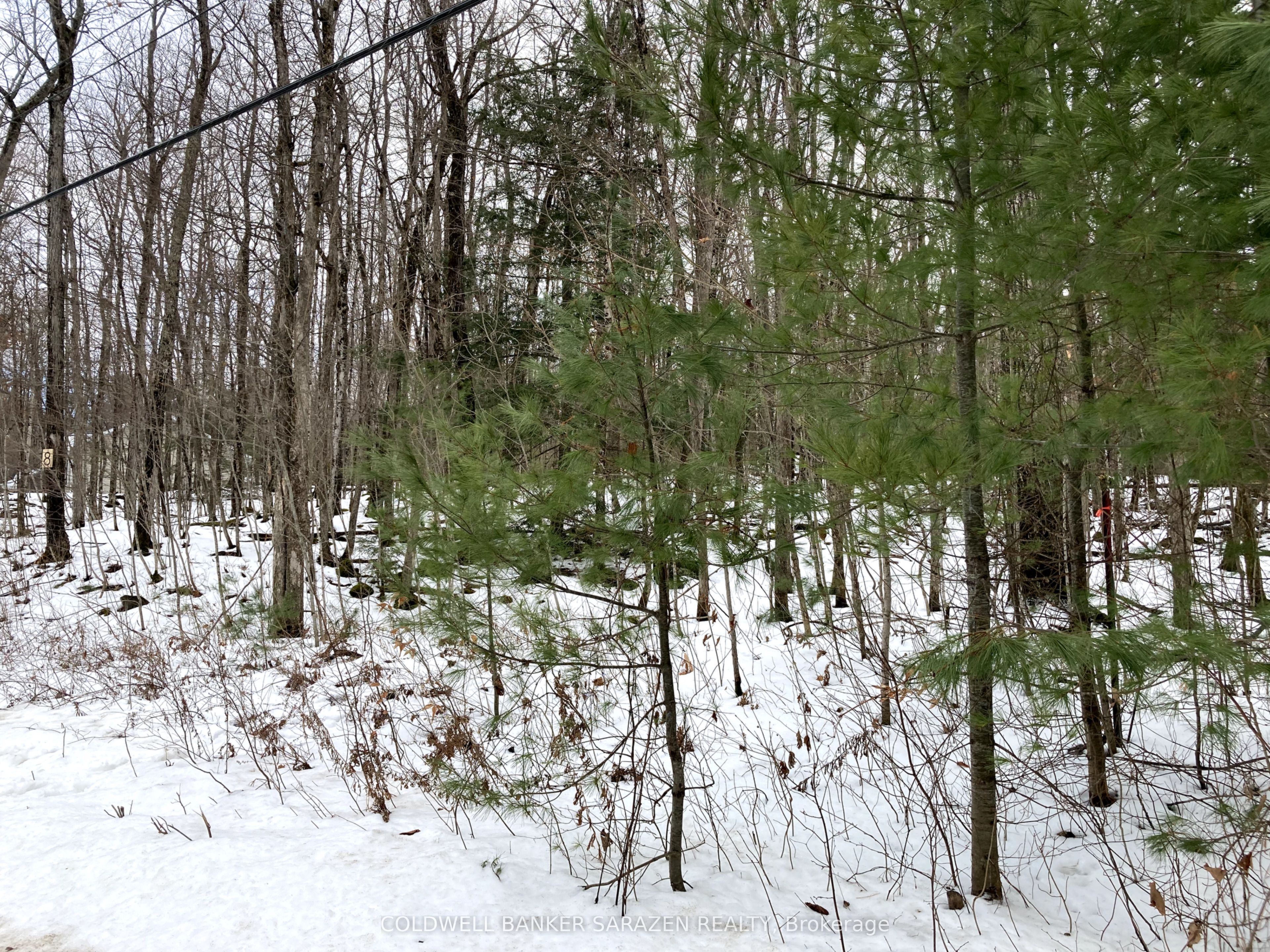 Lot 8 Deerfield Drive Property Photo 10