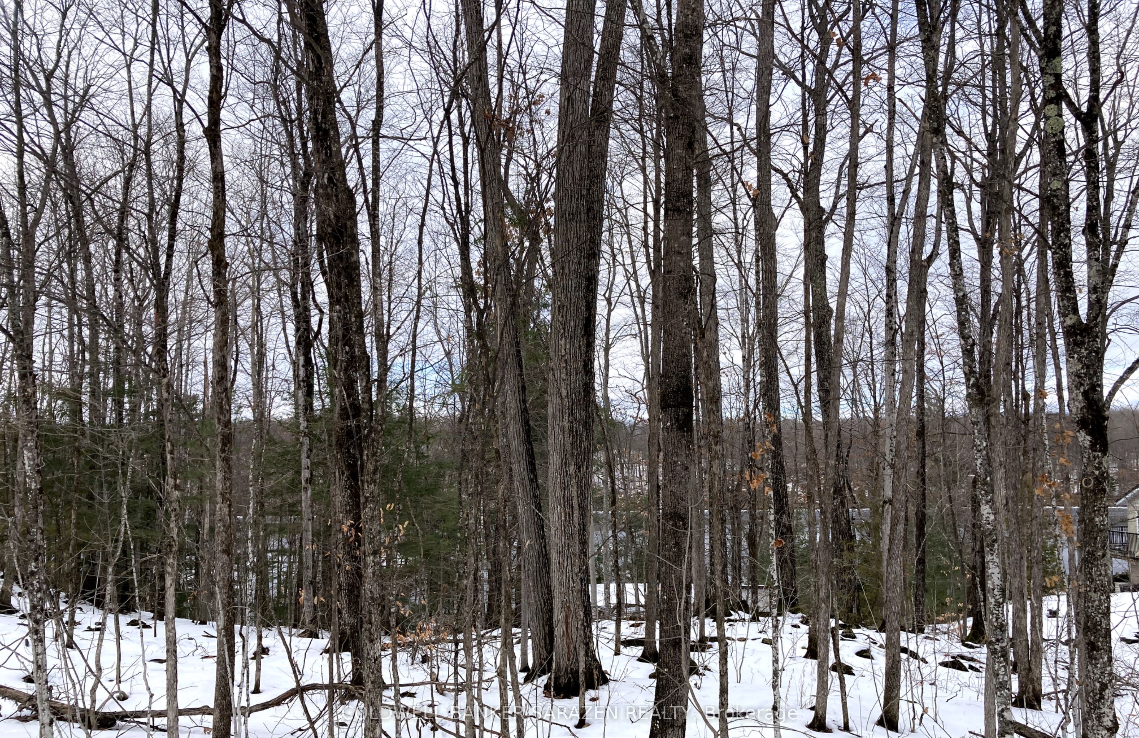 Lot 8 Deerfield Drive Property Photo 11
