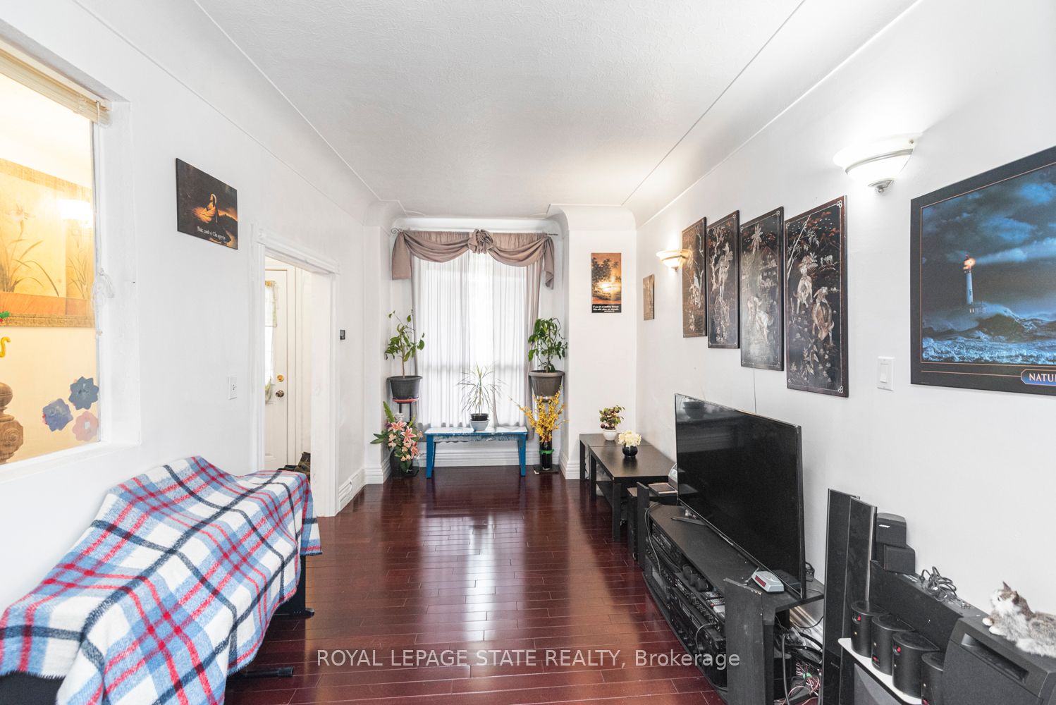 47 Clyde Street Property Photo 8