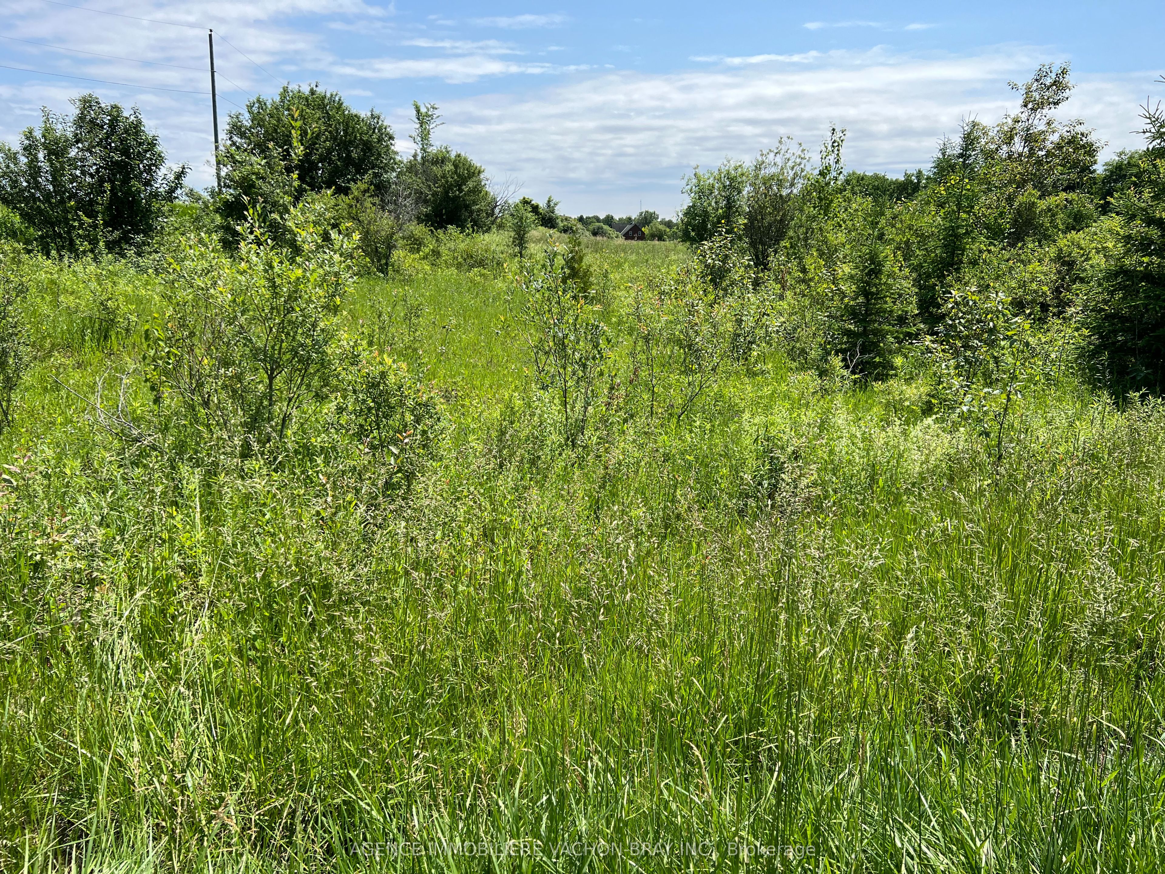 10 Concession Property Photo