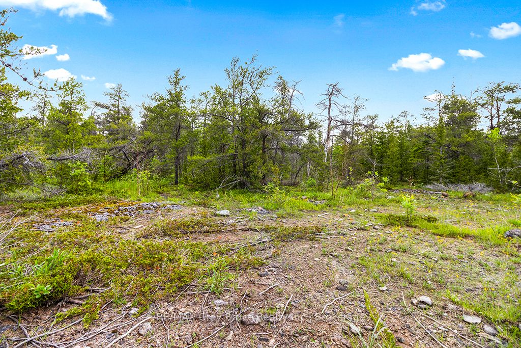 17 Dyers Bay Road Property Photo 5