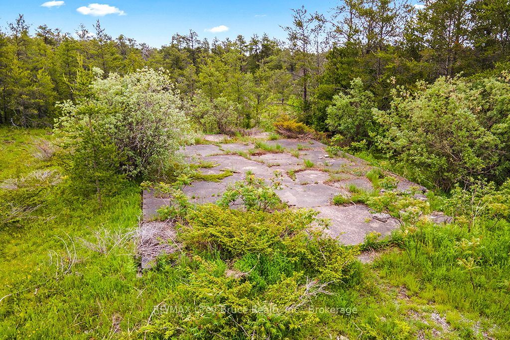 17 Dyers Bay Road Property Photo 6