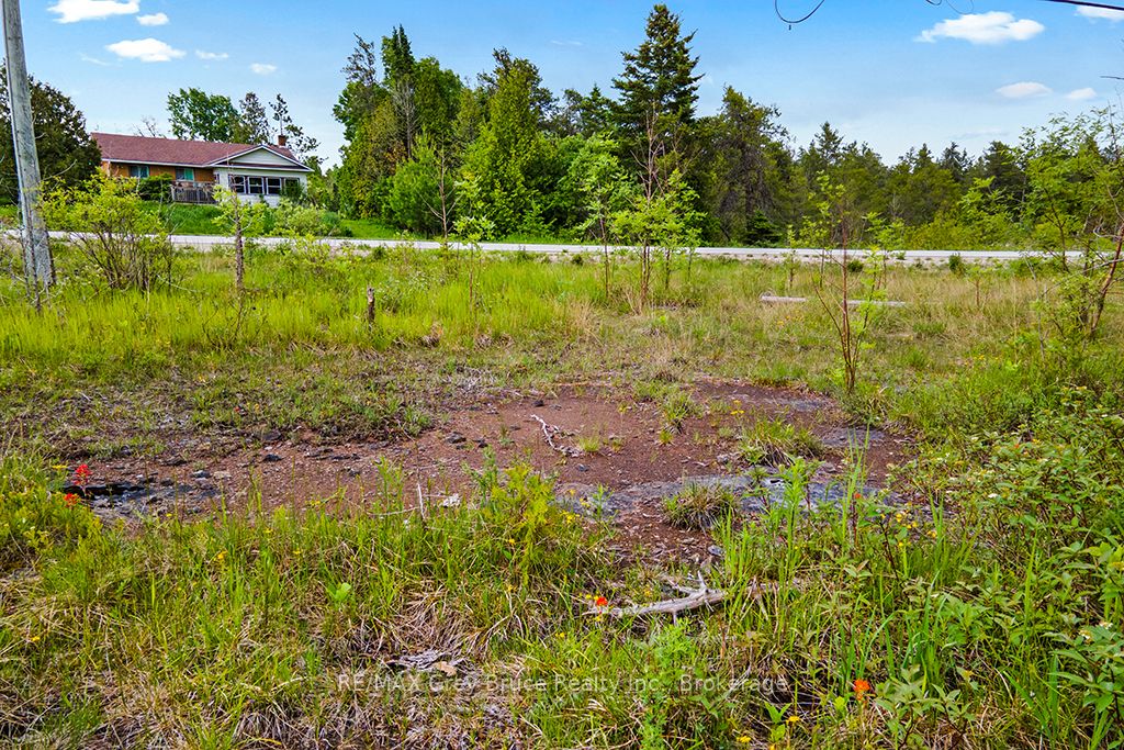 17 Dyers Bay Road Property Photo 13