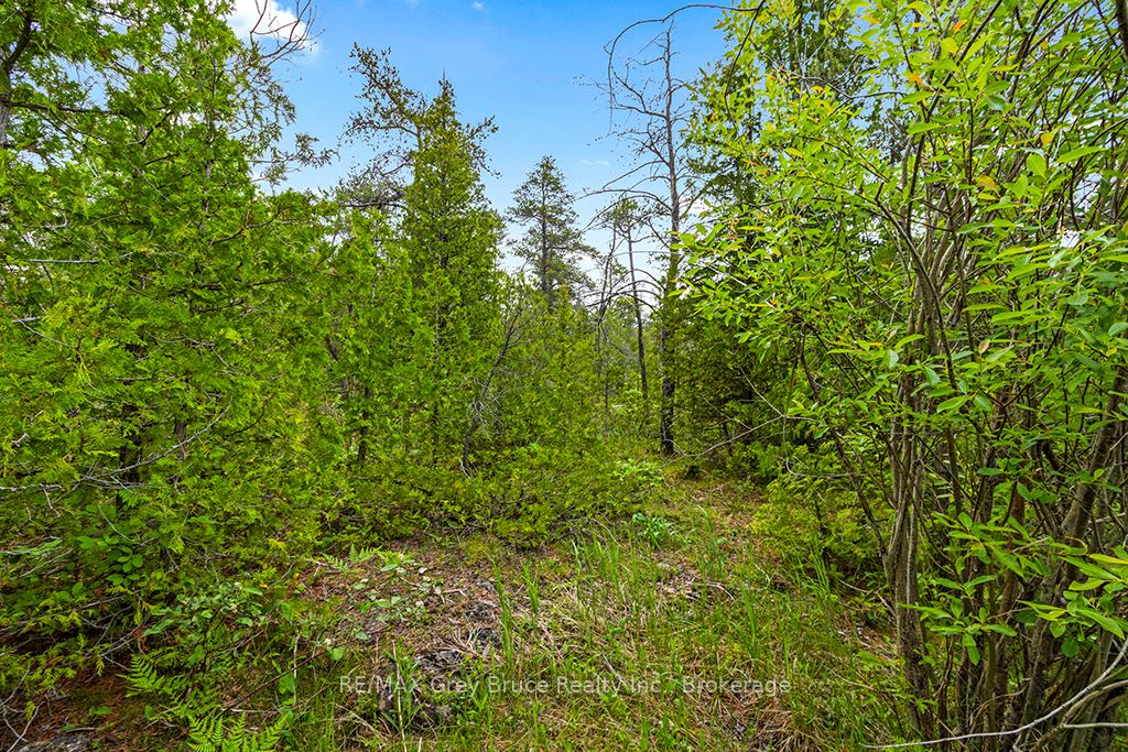 17 Dyers Bay Road Property Photo 17