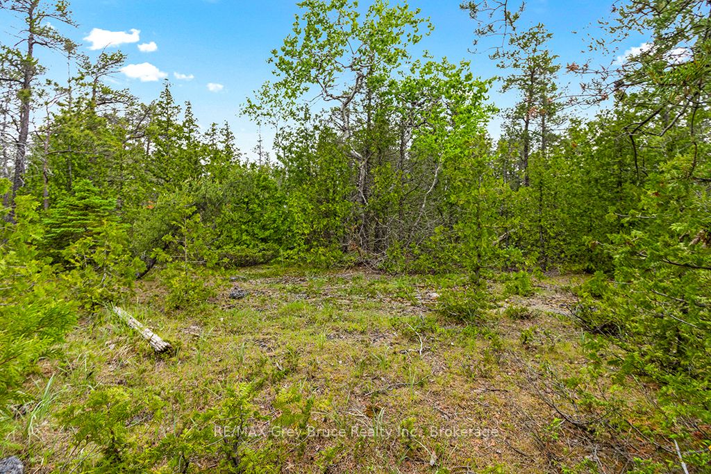 17 Dyers Bay Road Property Photo 18