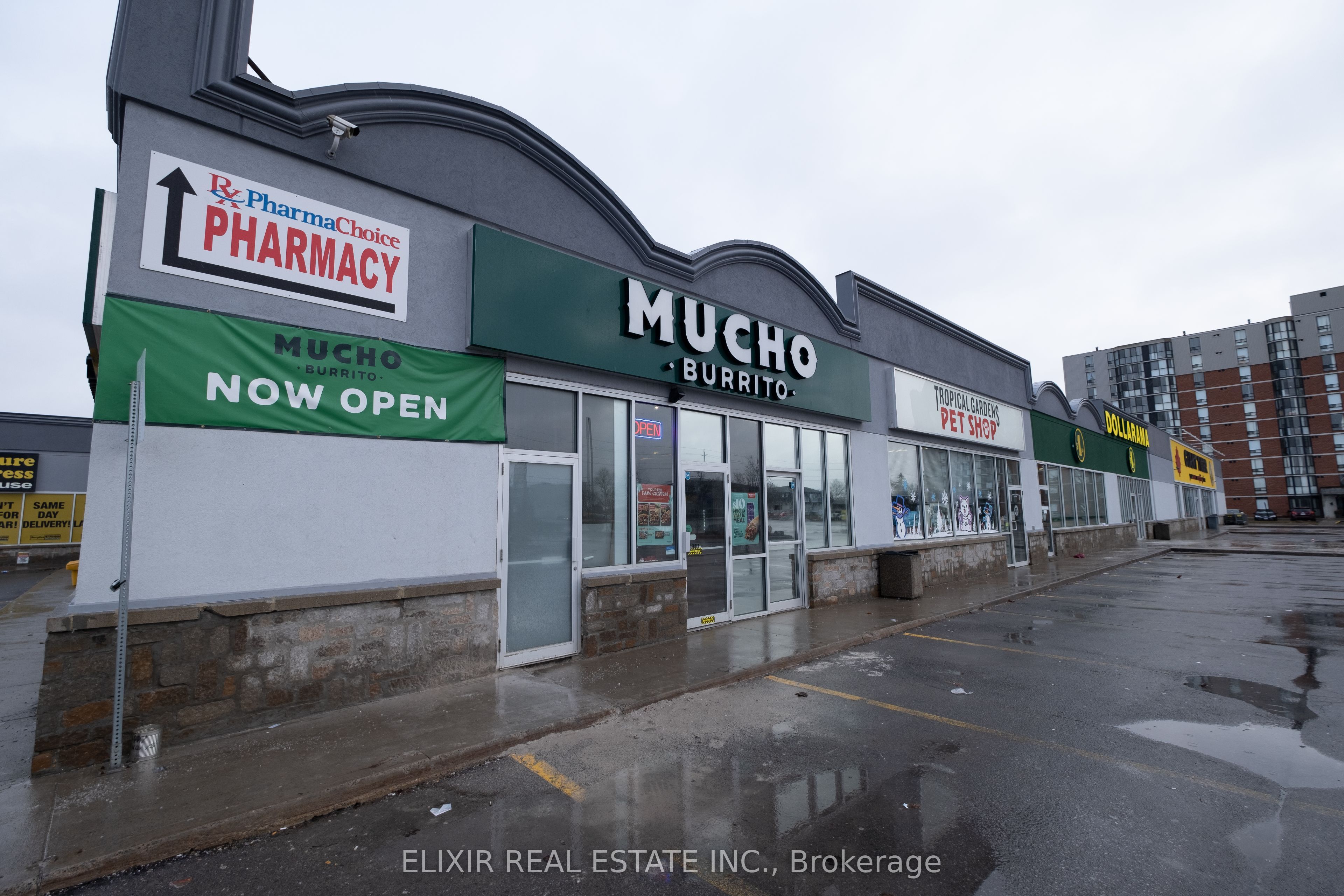 #7 - 161 Bridge Street Property Photo 3