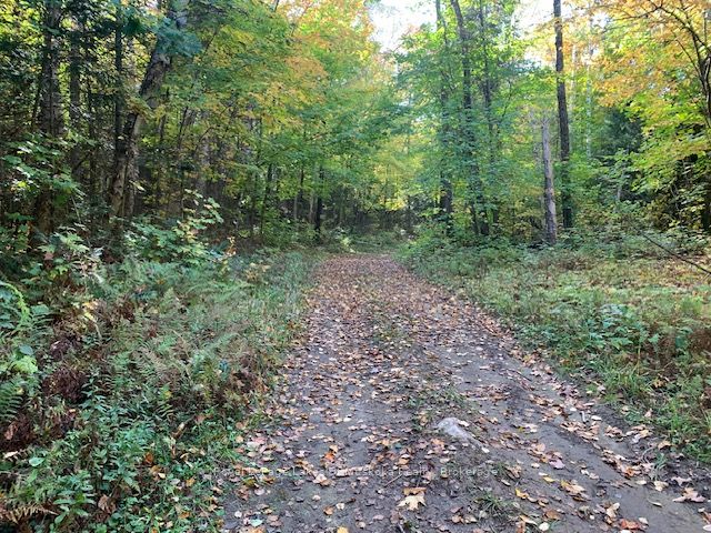 0 SUGAR BUSH Road Property Photo 1
