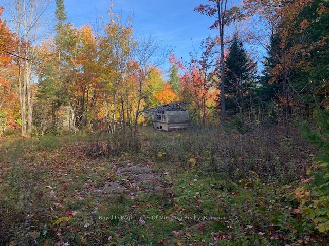 0 Sugar Bush Road Property Photo 9
