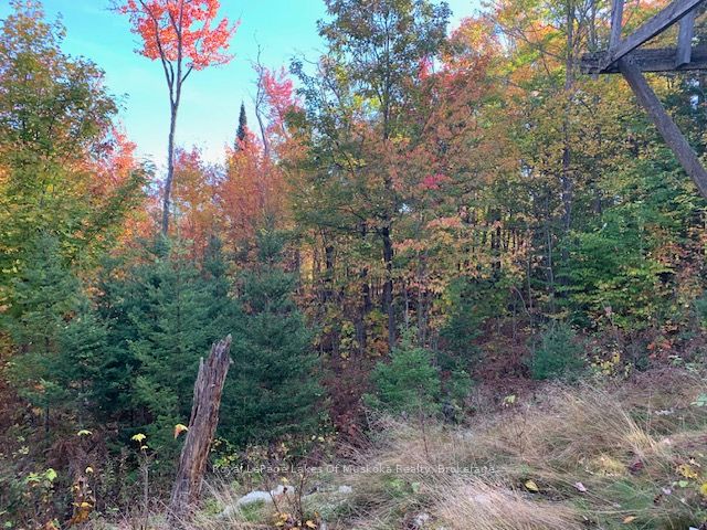 0 Sugar Bush Road Property Photo 12