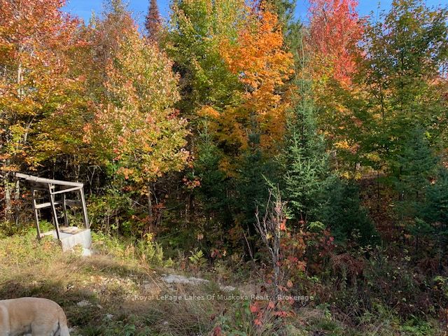 0 Sugar Bush Road Property Photo 13