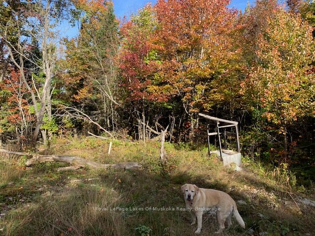 0 Sugar Bush Road Property Photo 14