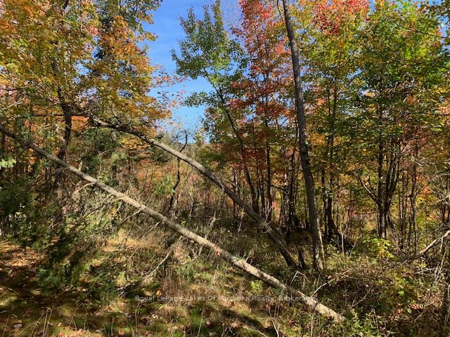 0 Sugar Bush Road Property Photo 15