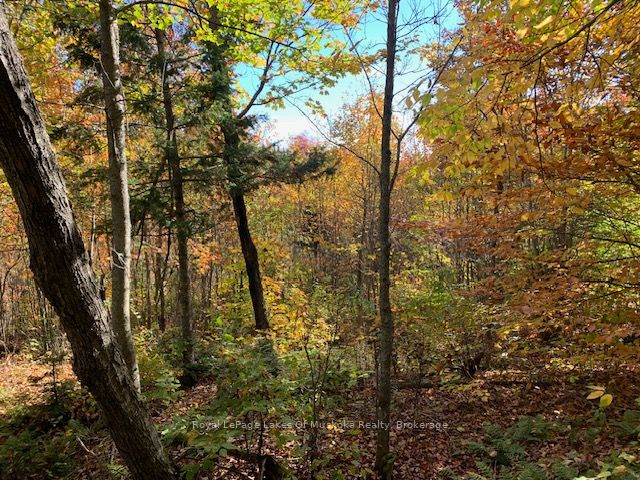 0 Sugar Bush Road Property Photo 16