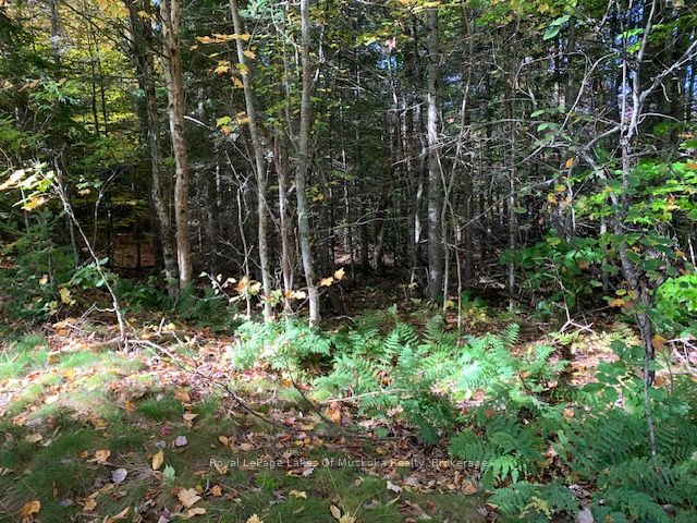 0 Sugar Bush Road Property Photo 18