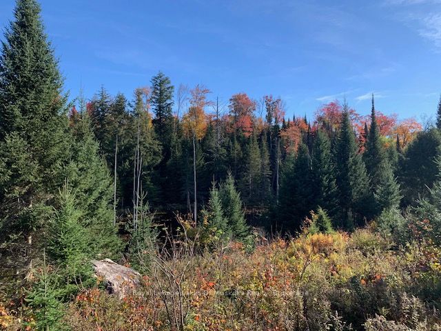 0 Sugar Bush Road Property Photo 19