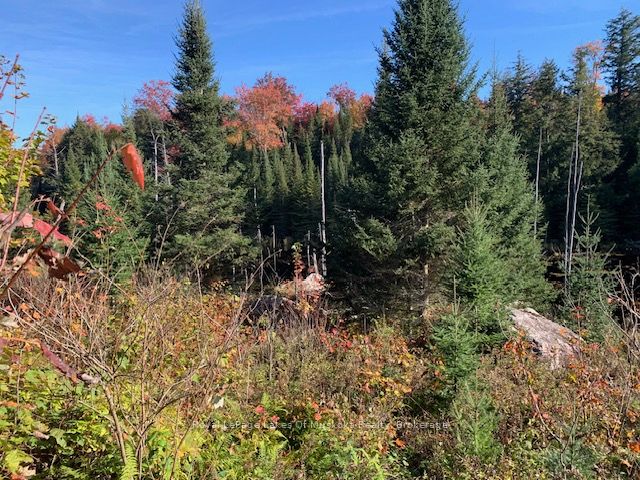 0 Sugar Bush Road Property Photo 20