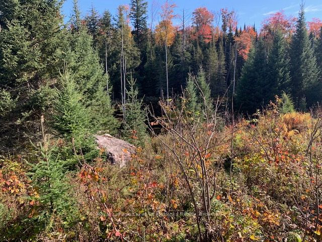 0 Sugar Bush Road Property Photo 23