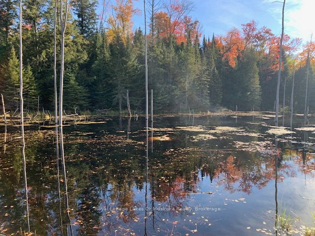0 Sugar Bush Road Property Photo 30