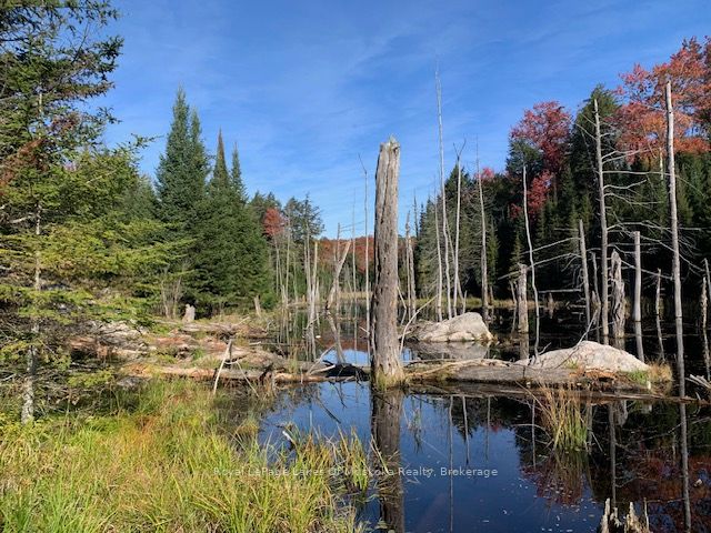 0 Sugar Bush Road Property Photo 33