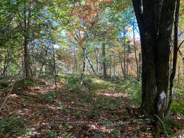 0 Sugar Bush Road Property Photo 34