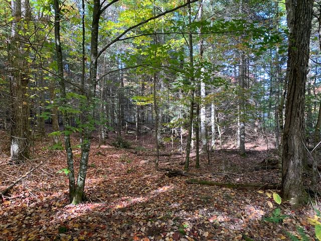 0 Sugar Bush Road Property Photo 35