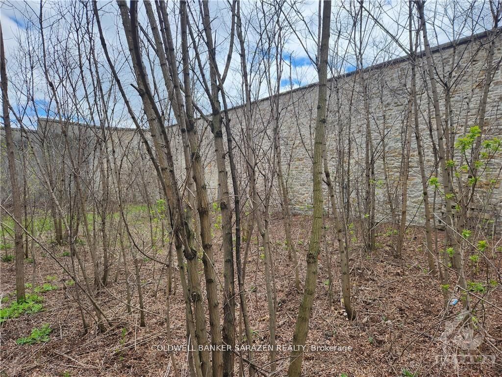 62 Beckwith Street Property Photo 5