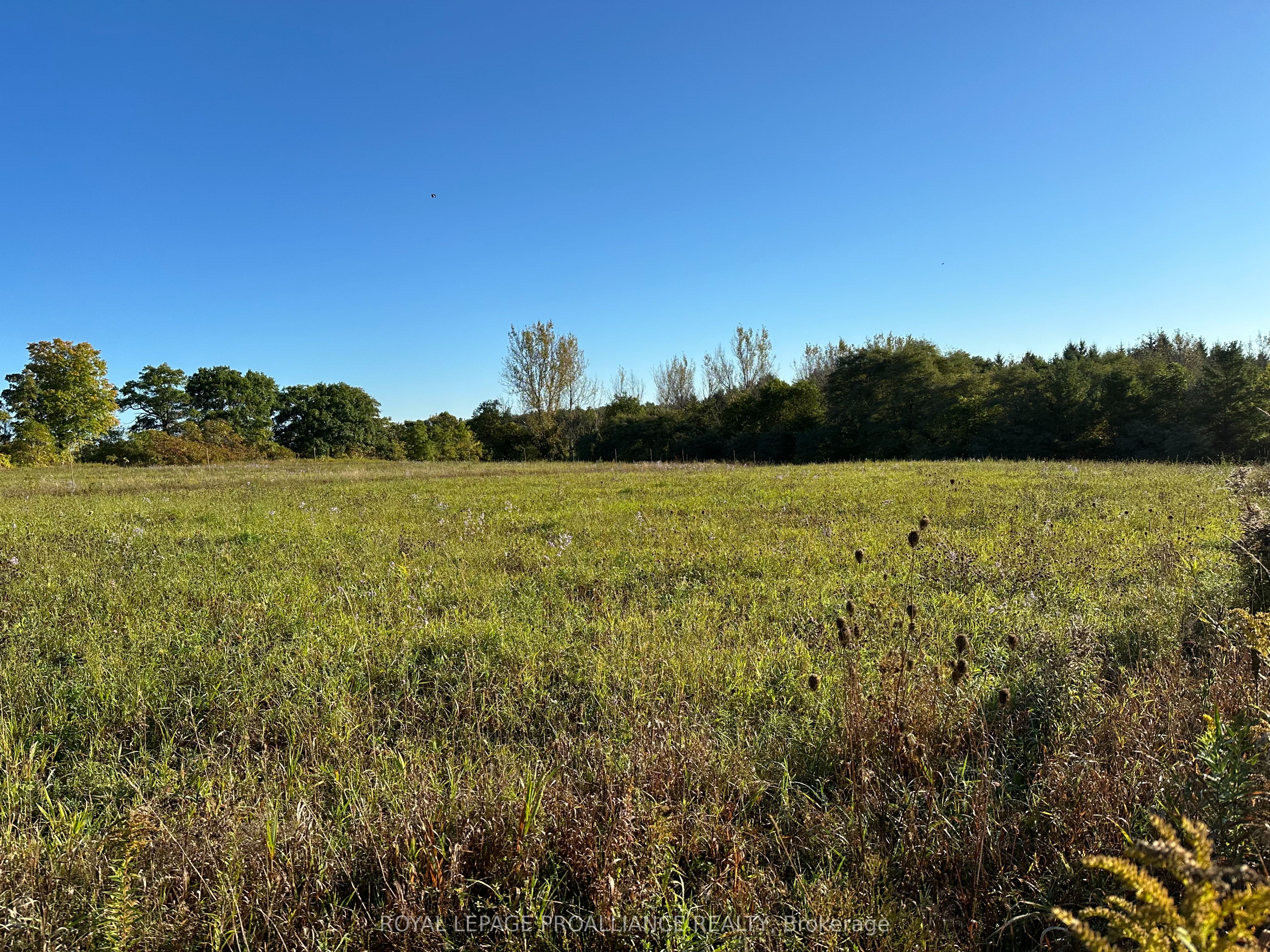 Pt Lt 24 County Road 9 Property Photo 2